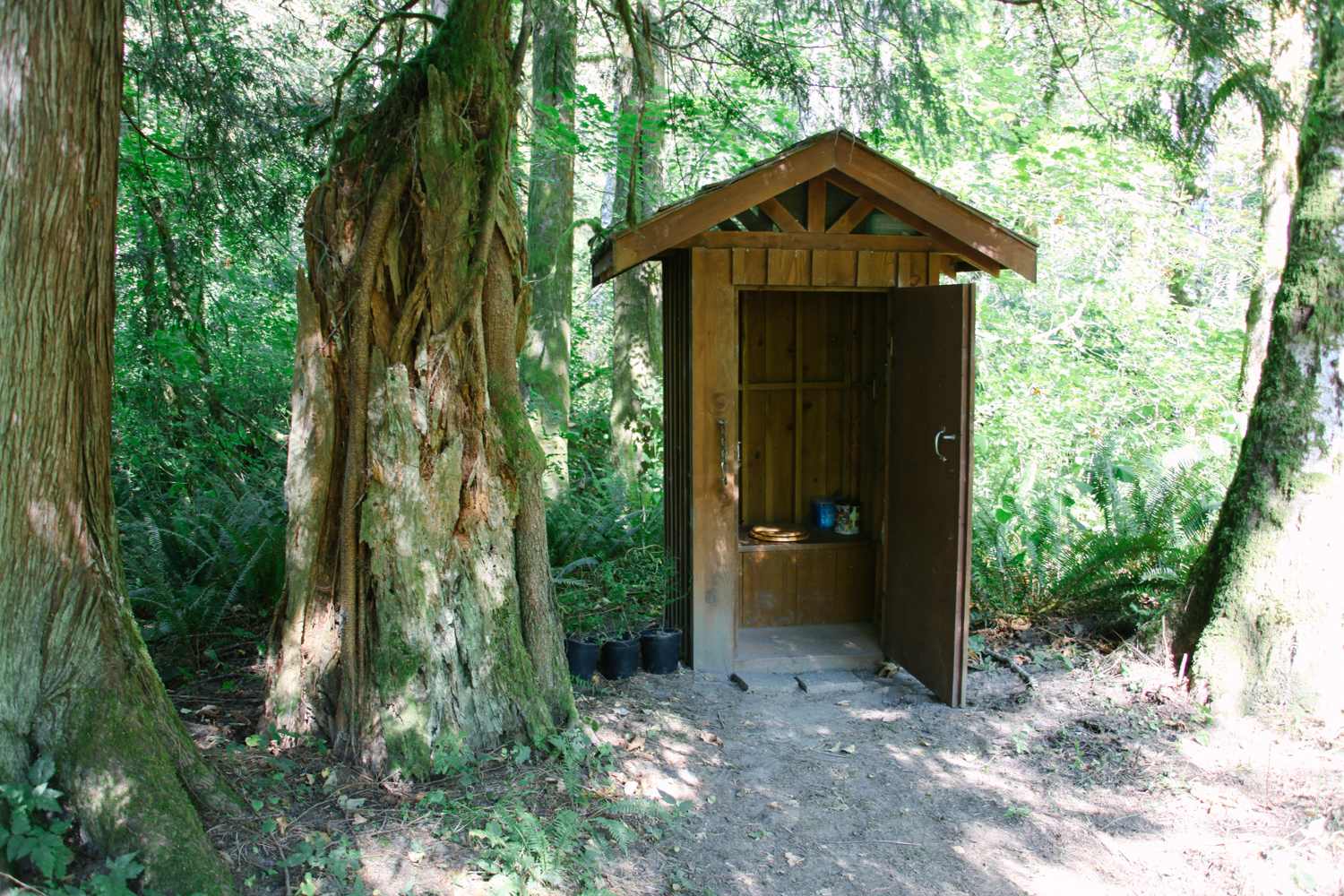 The outhouse was only a few yards from multiple spots to camp. No treks through the woods at night!