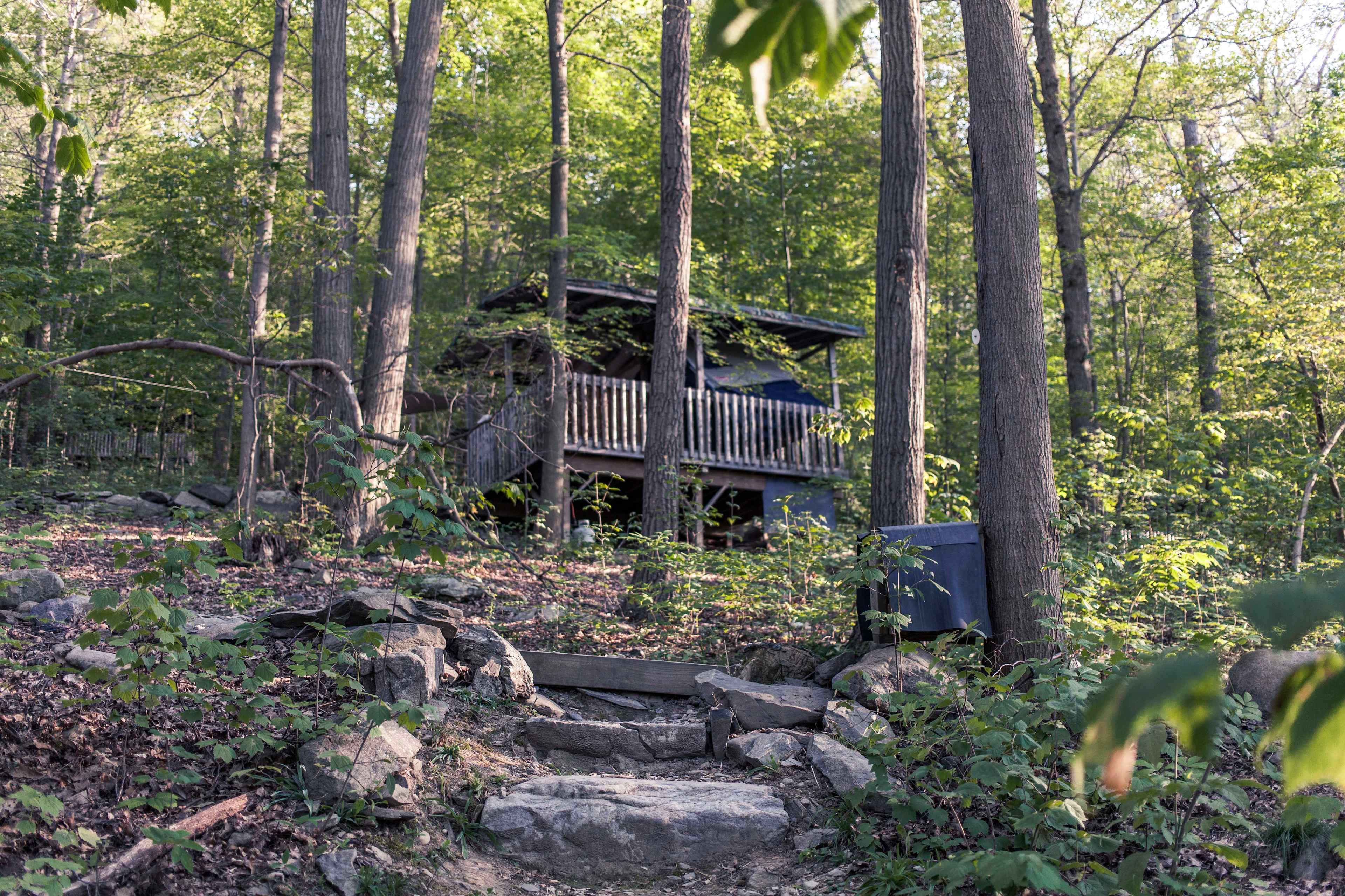 Secluded wee spot amongst the trees