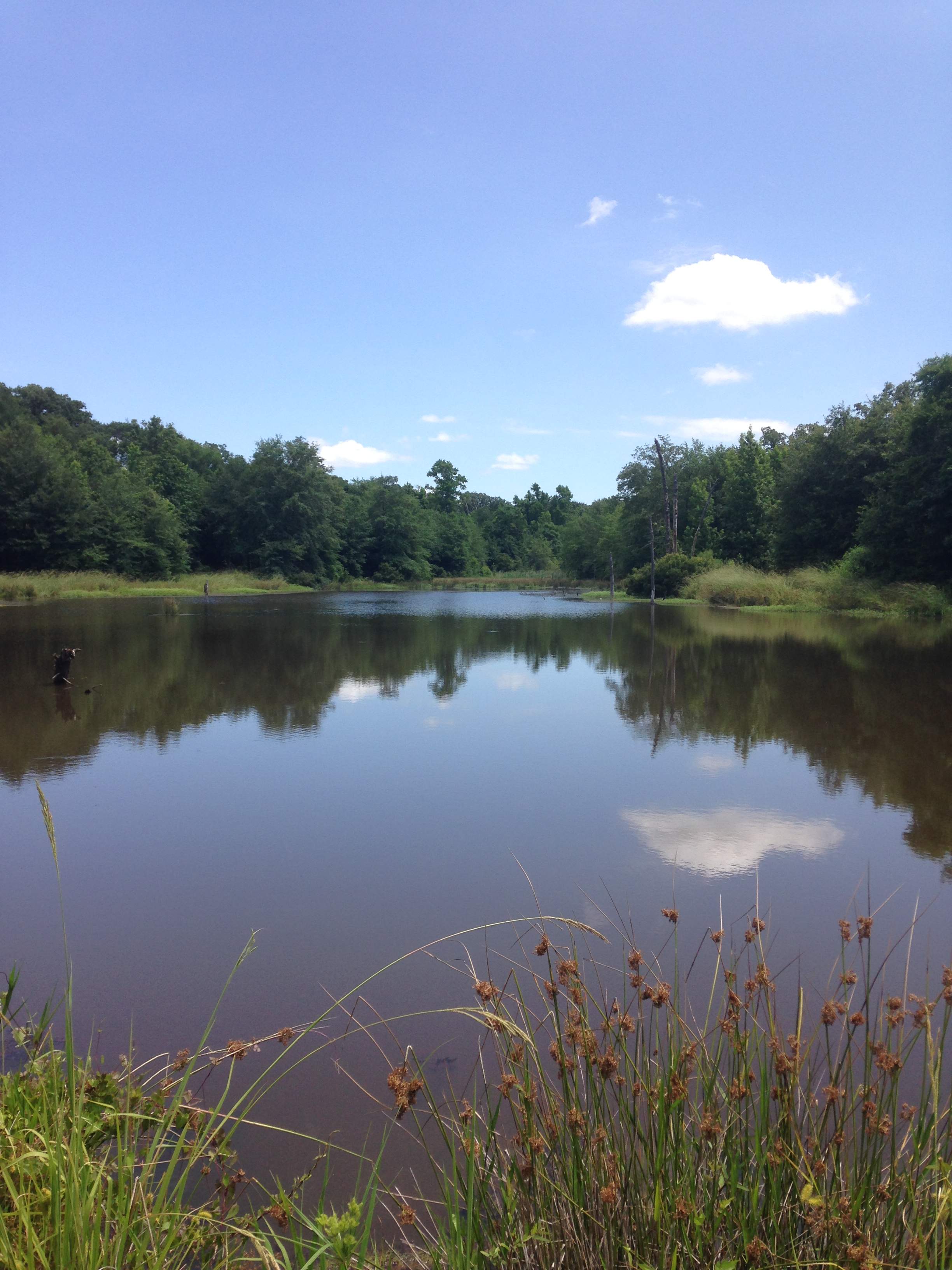 Sandy Ridge Camping