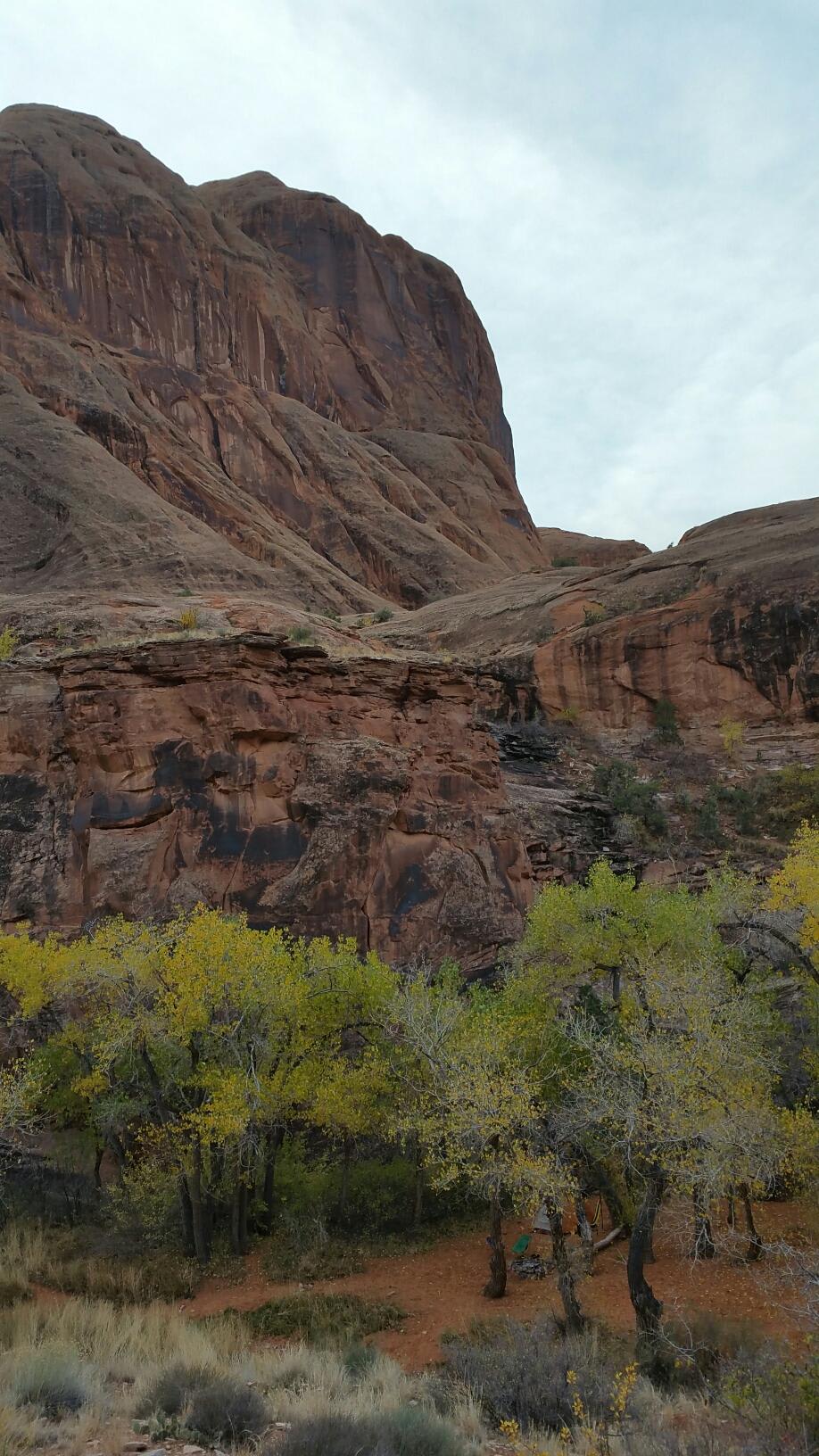 Do you see our tiny campground? We hiked up one of the sides of the canyon when we woke up and watched the sun rise. 