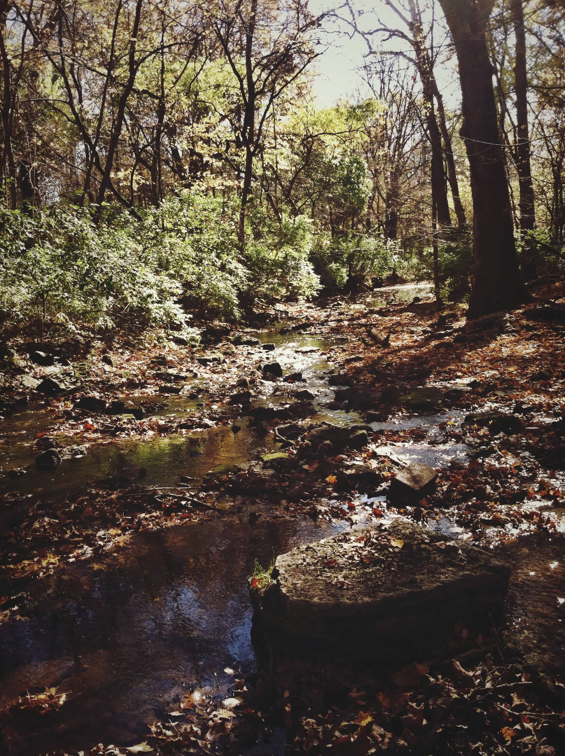 A shallow part of rock creek, near the campground. 