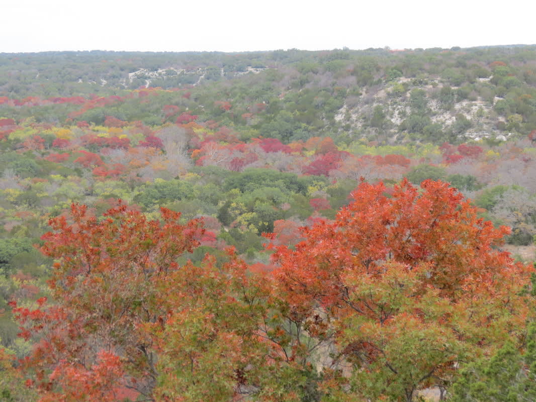 Redcreek Nature Ranch