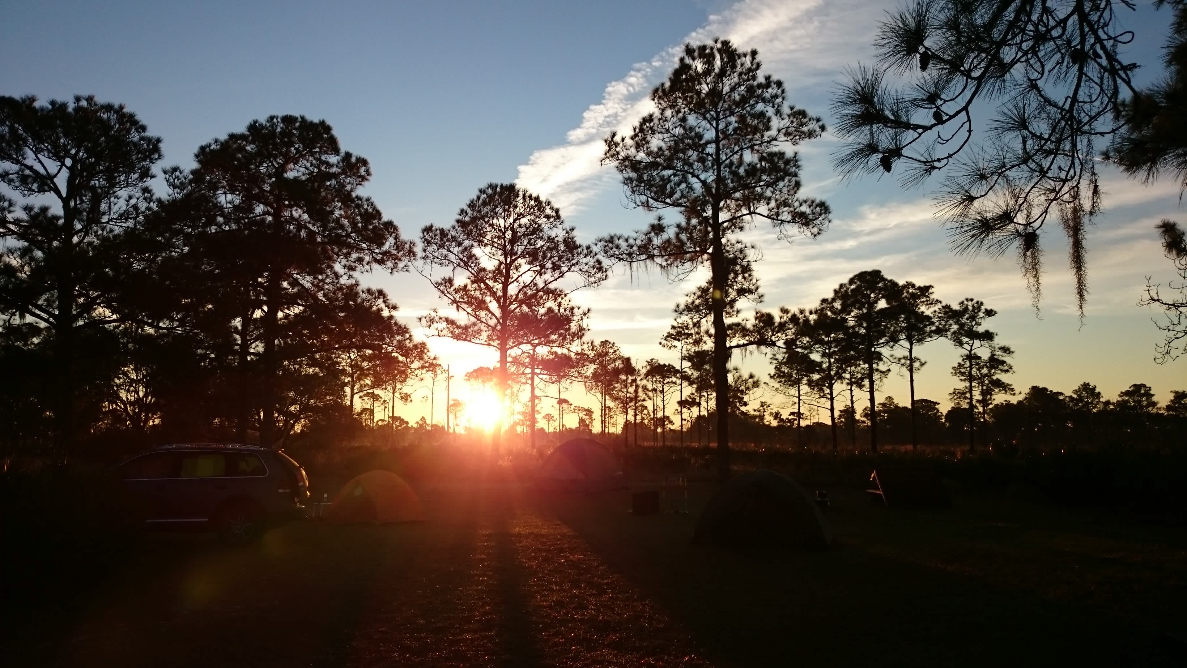 Highlands Hammock Campground