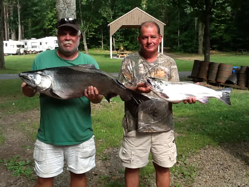 August Salmon 1 King & 1 Coho