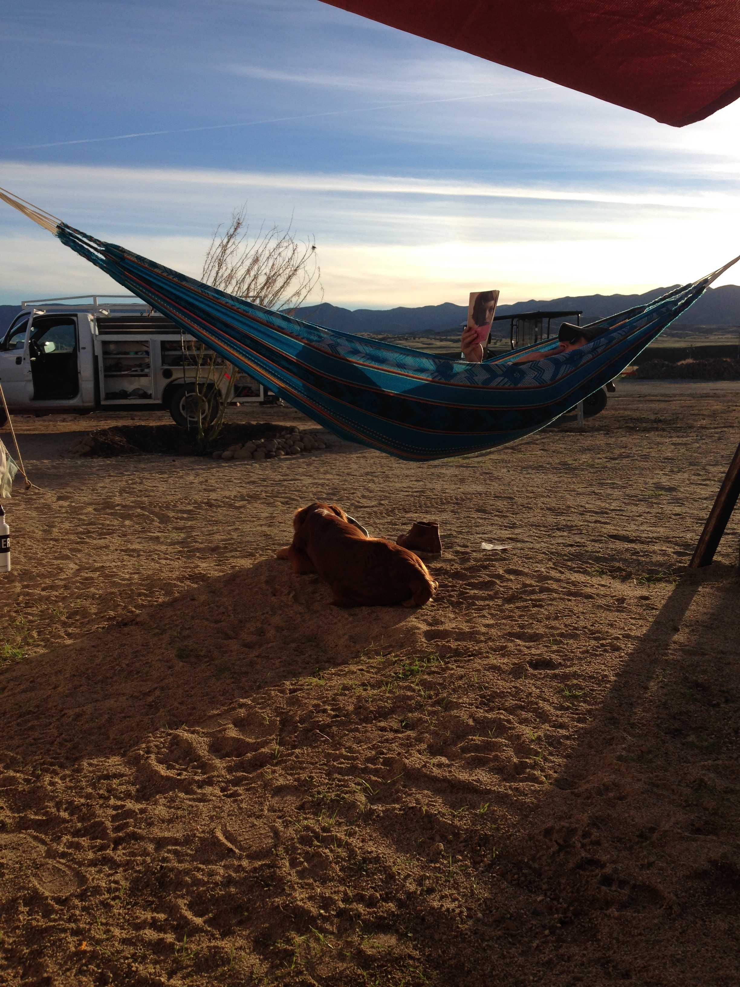 Reading before sunset