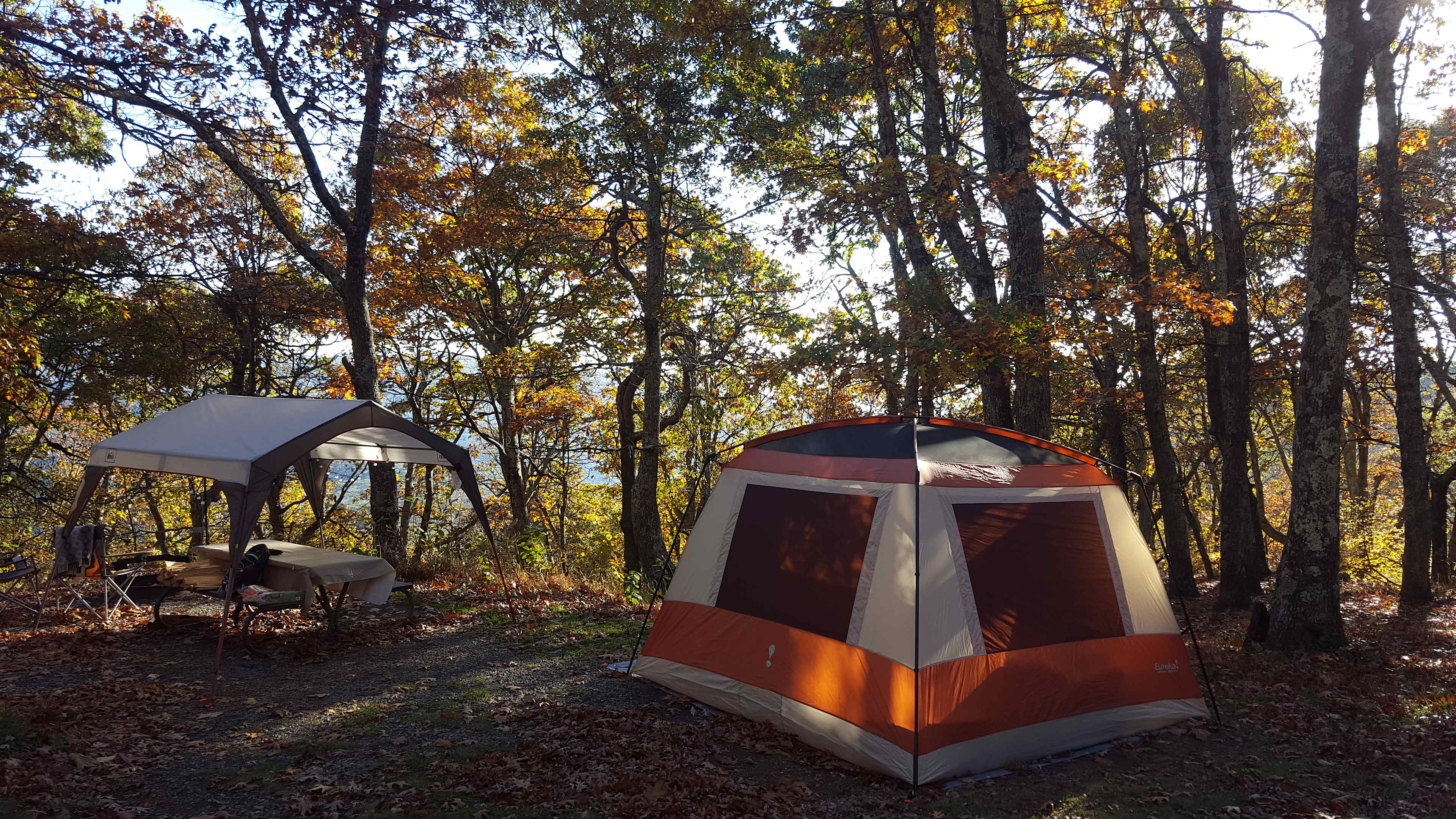 Good morning from site E187!