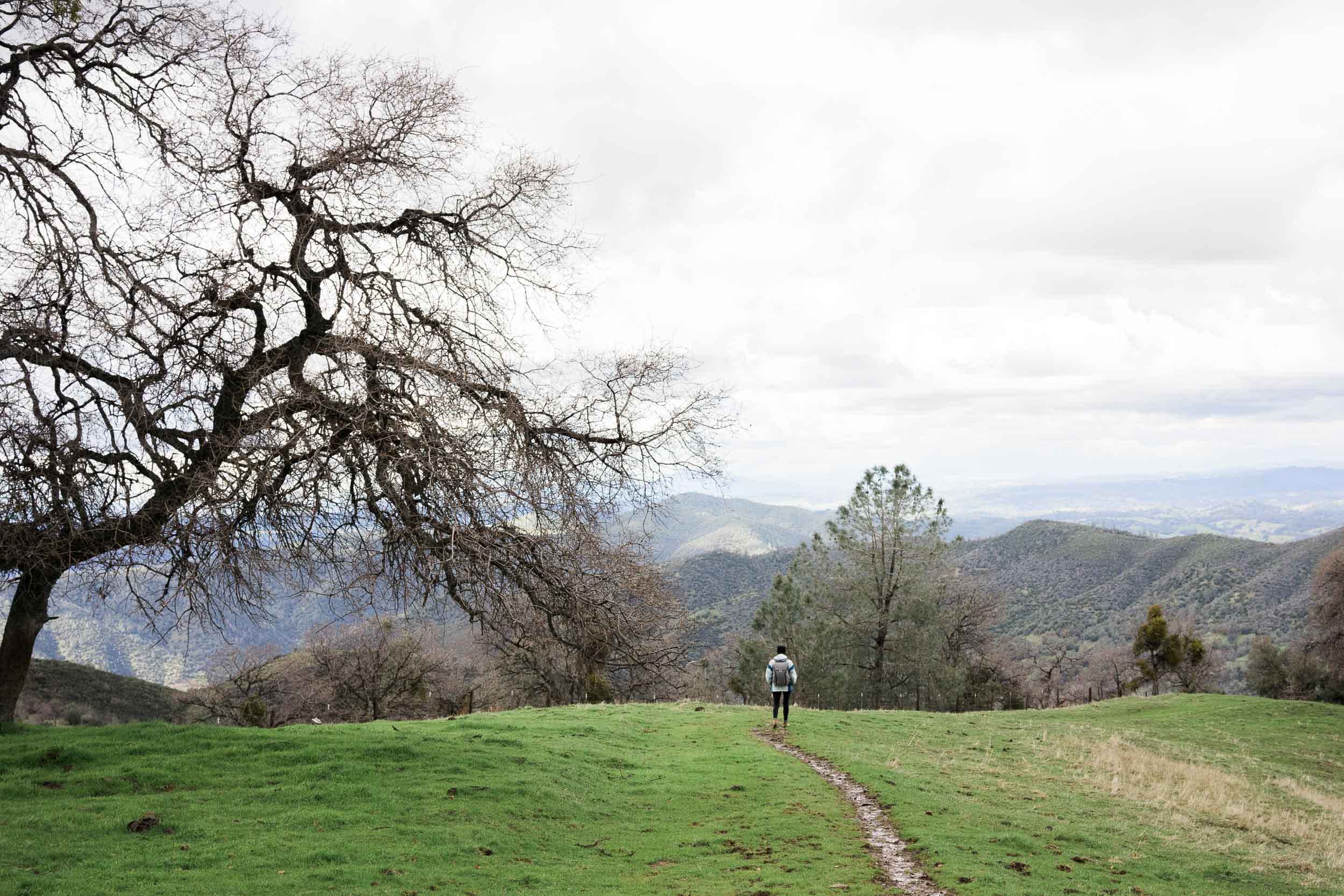 Ridge trail 