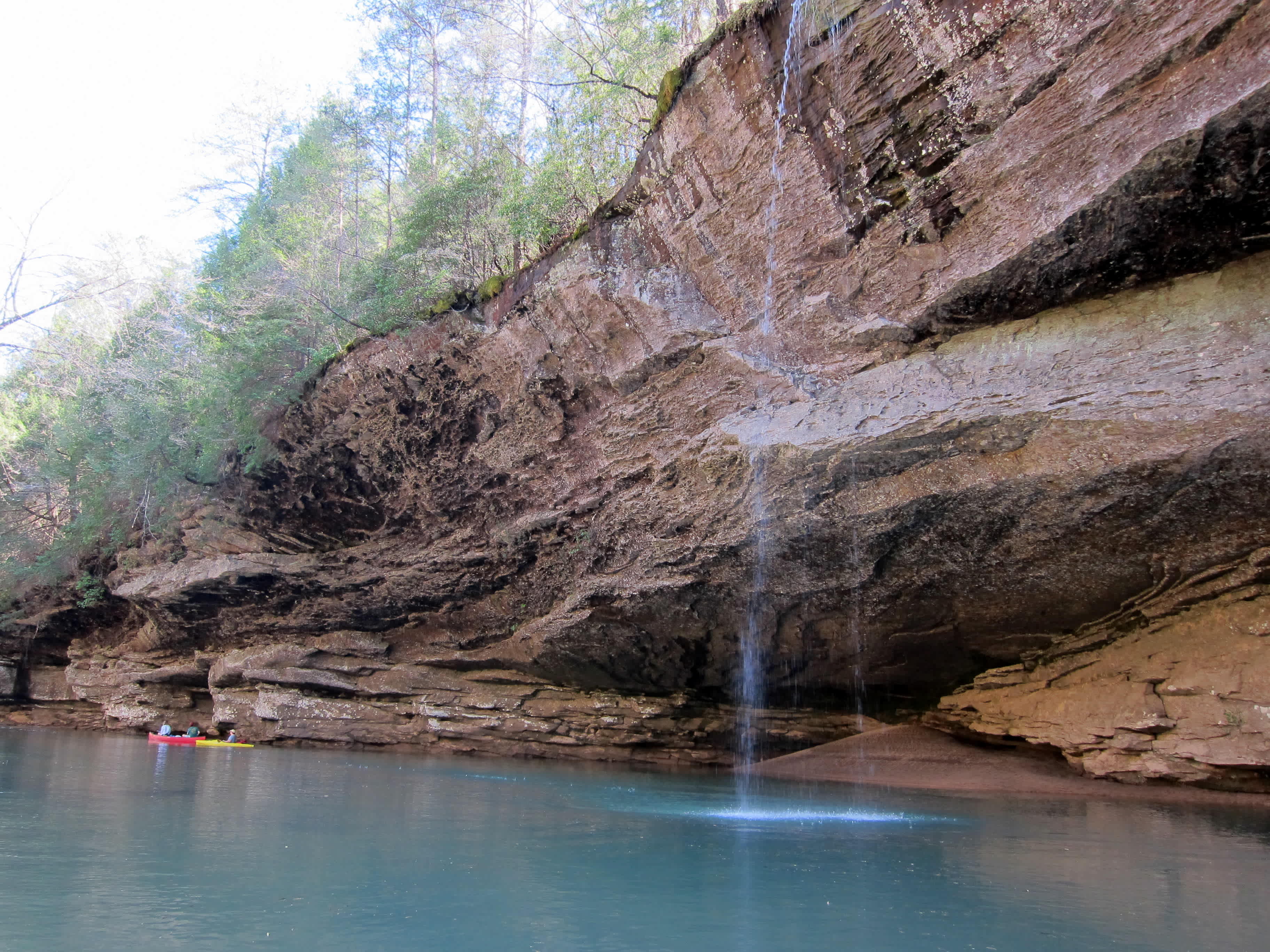 Great paddling on the lake and the Sipsey Fork nearby