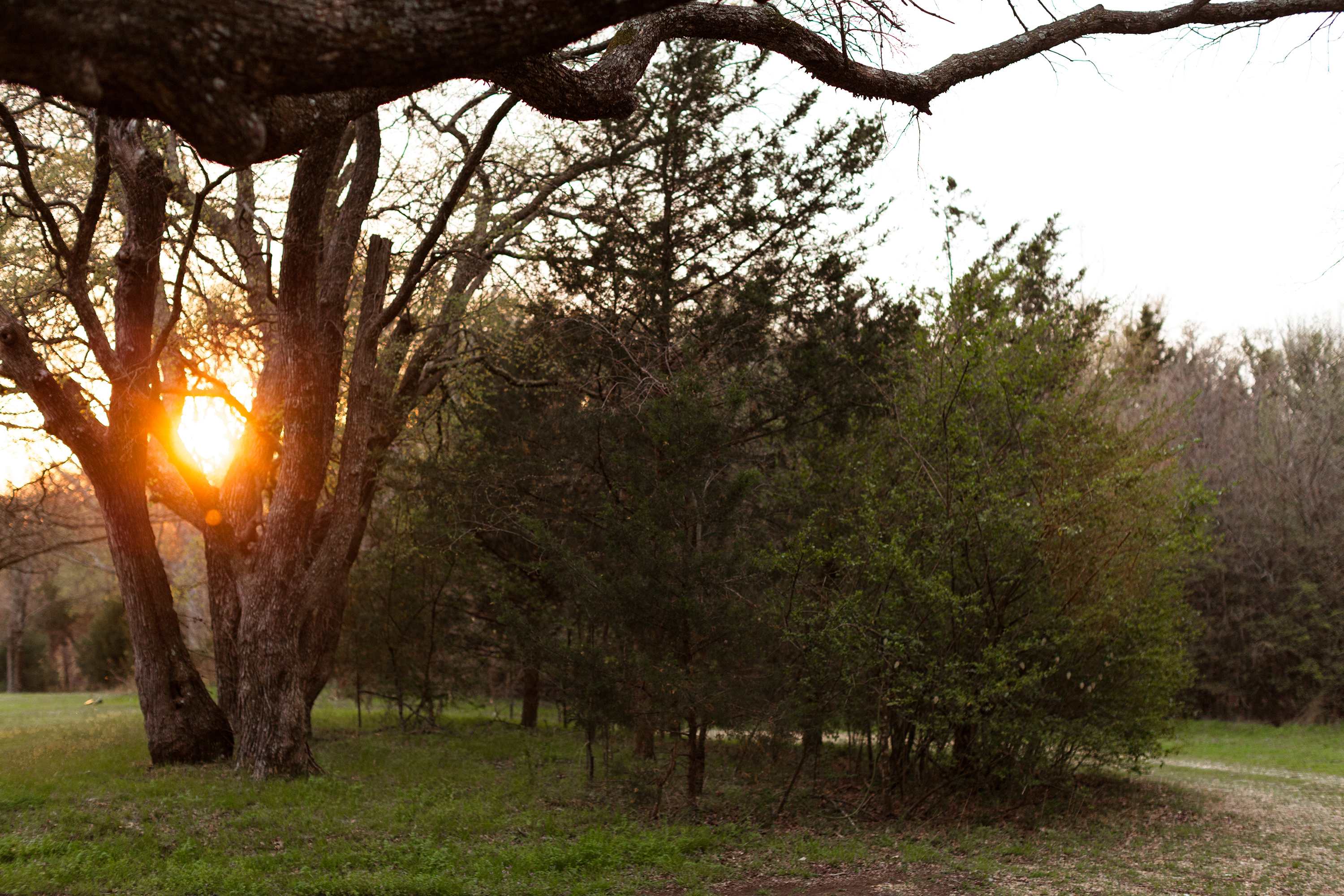 Tin Can Acres