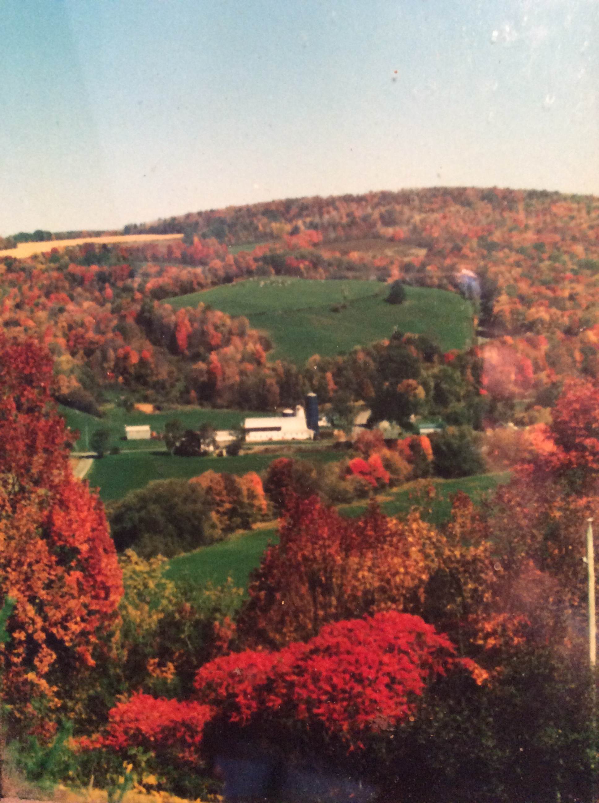 Our farm in its fall splendor!