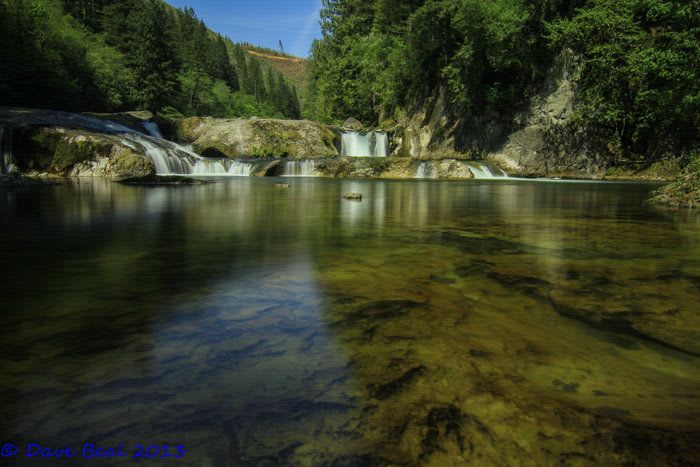 Naked Falls Summer