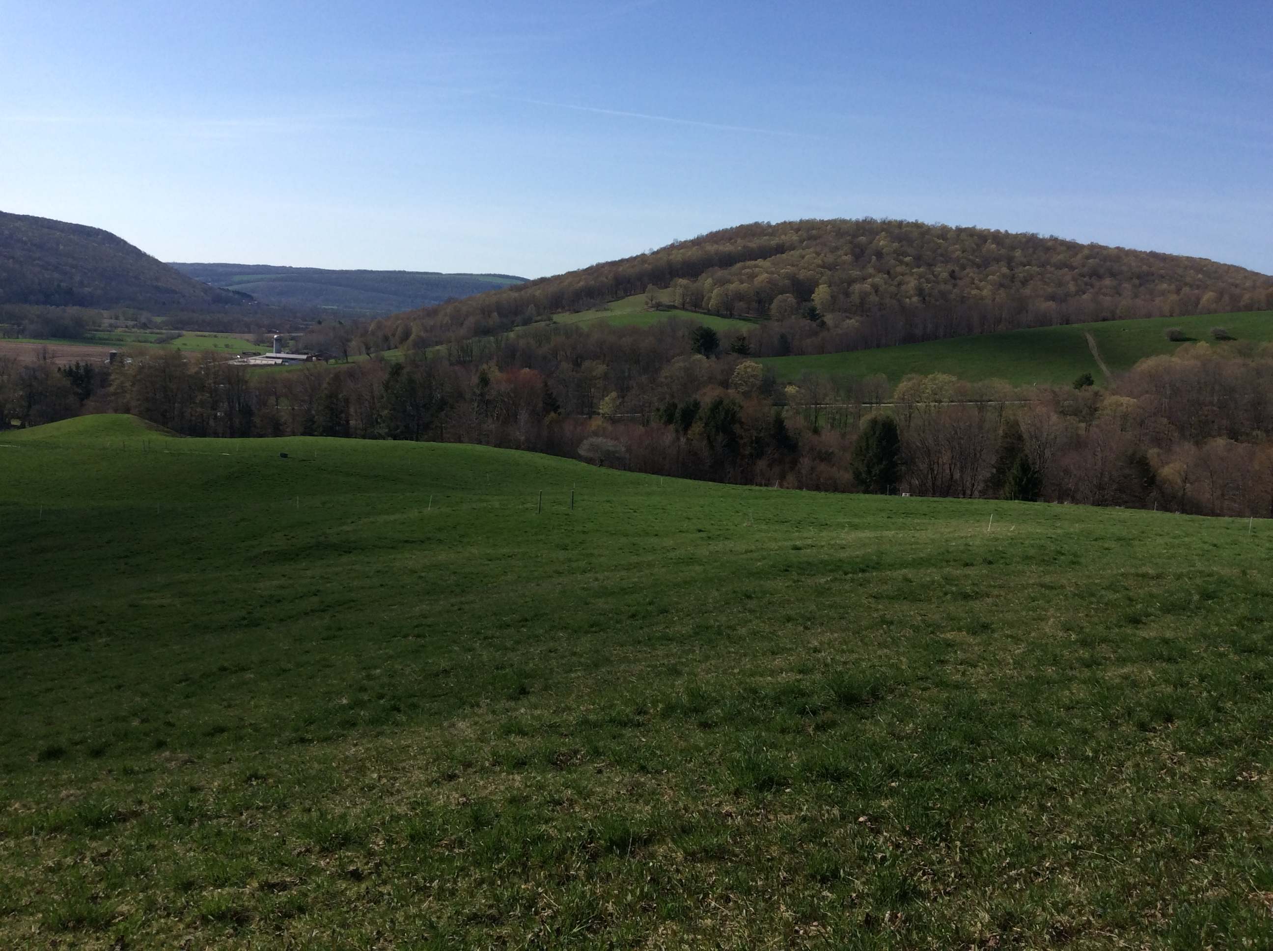 Camp here and feel like your at the top of the world or atleast the meadow.