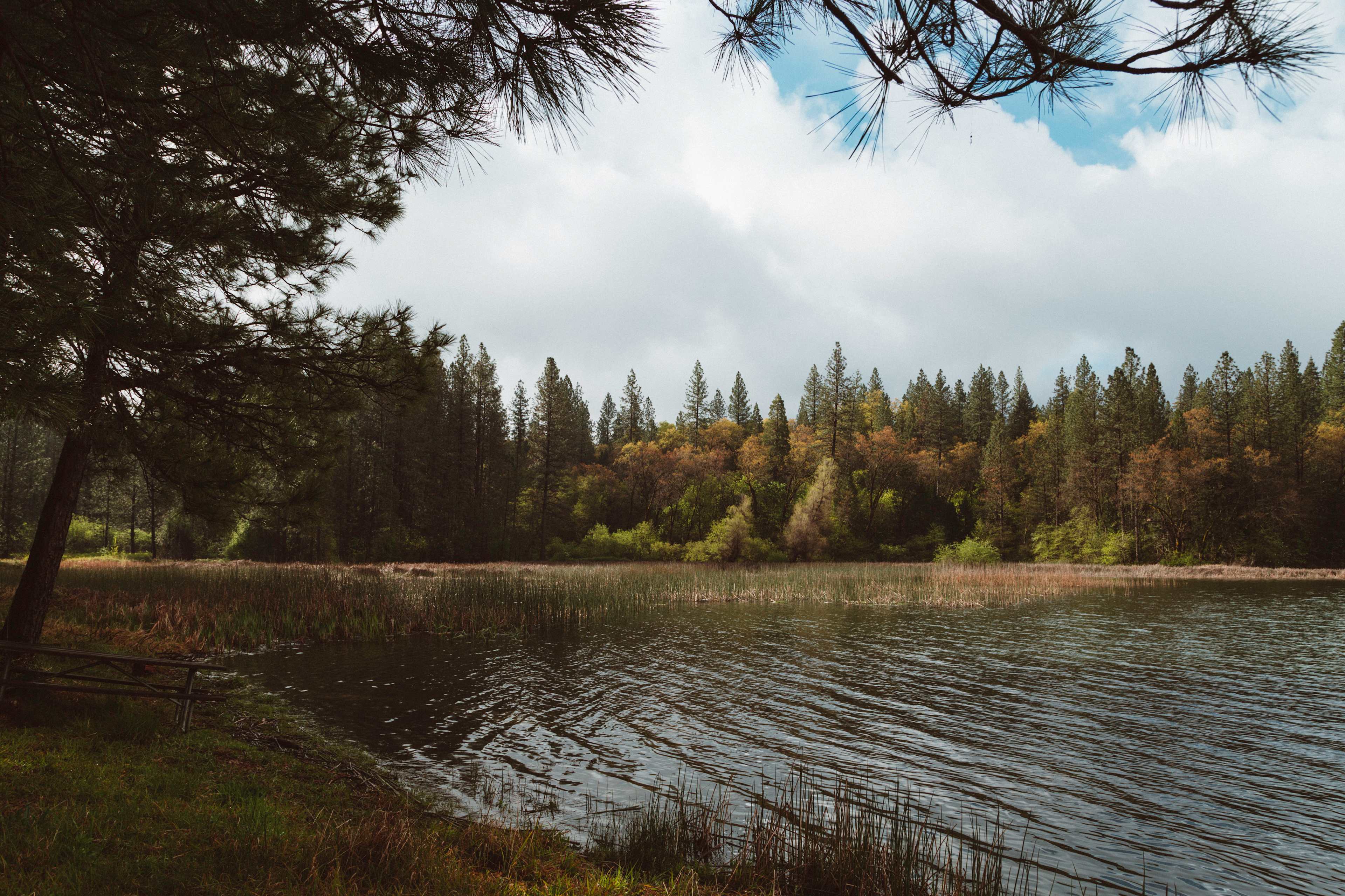 View of the reservoir from our campsite on the lake front. Note: No swimming allowed, but it makes for a beautiful site. You can also drive down the road not too far to Lake Oroville if you want to swim for the day.