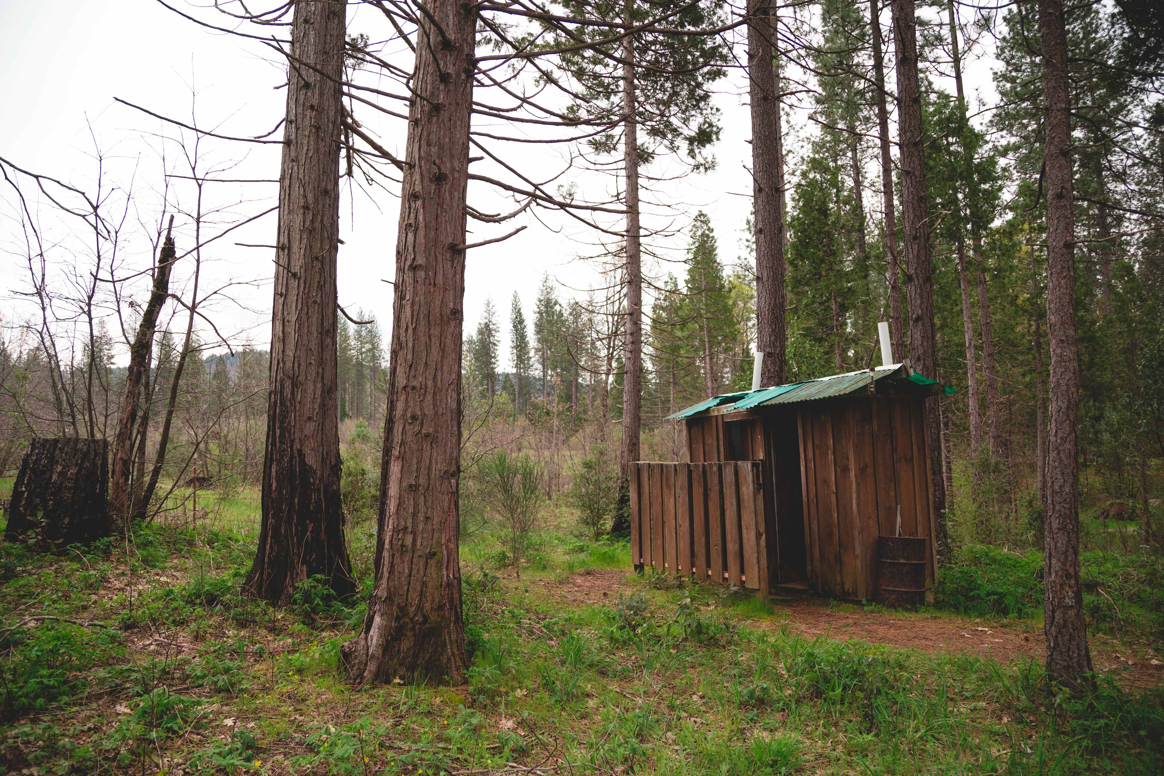 Around the campsite there were pit toilets. 