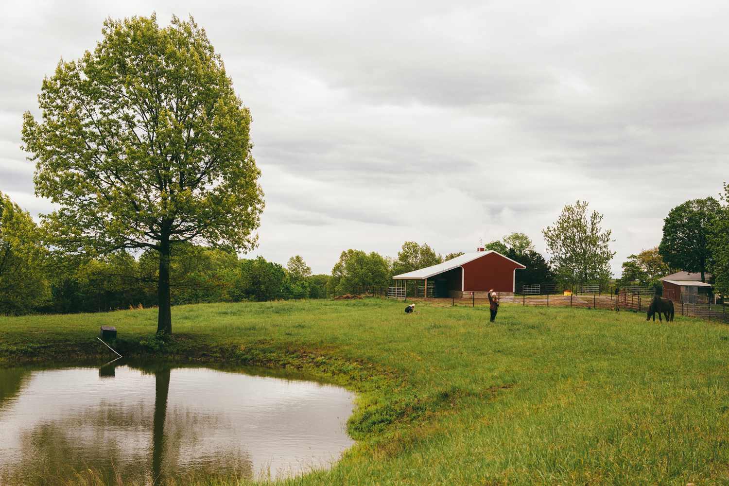 Picture of the site