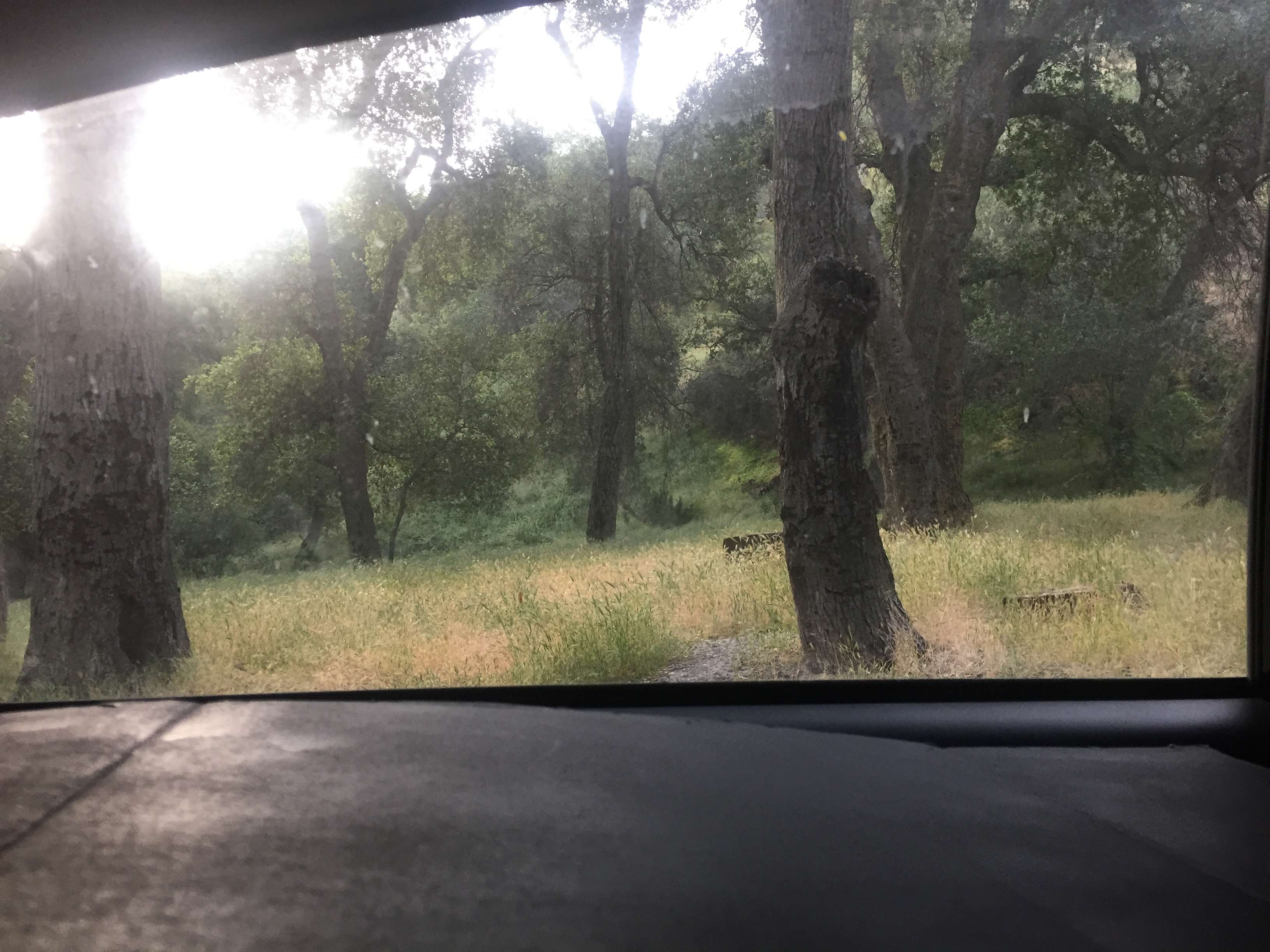 Aliso Park Campground