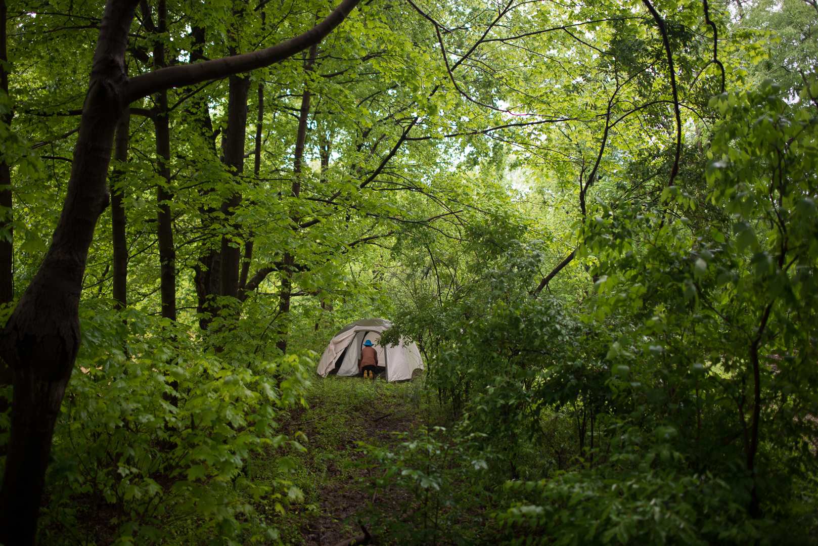 Amidst the flora and fauna.