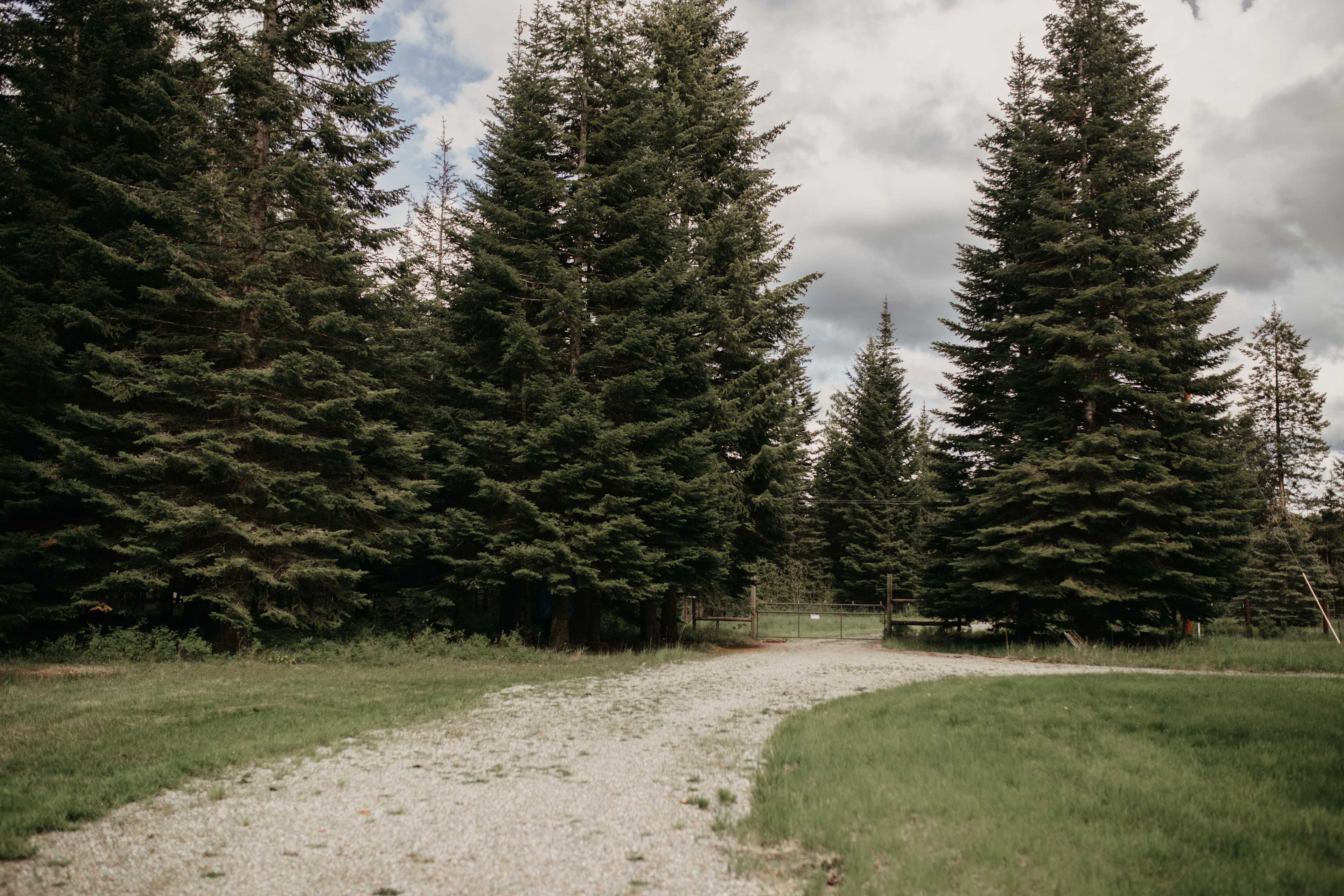 The driveway into the property