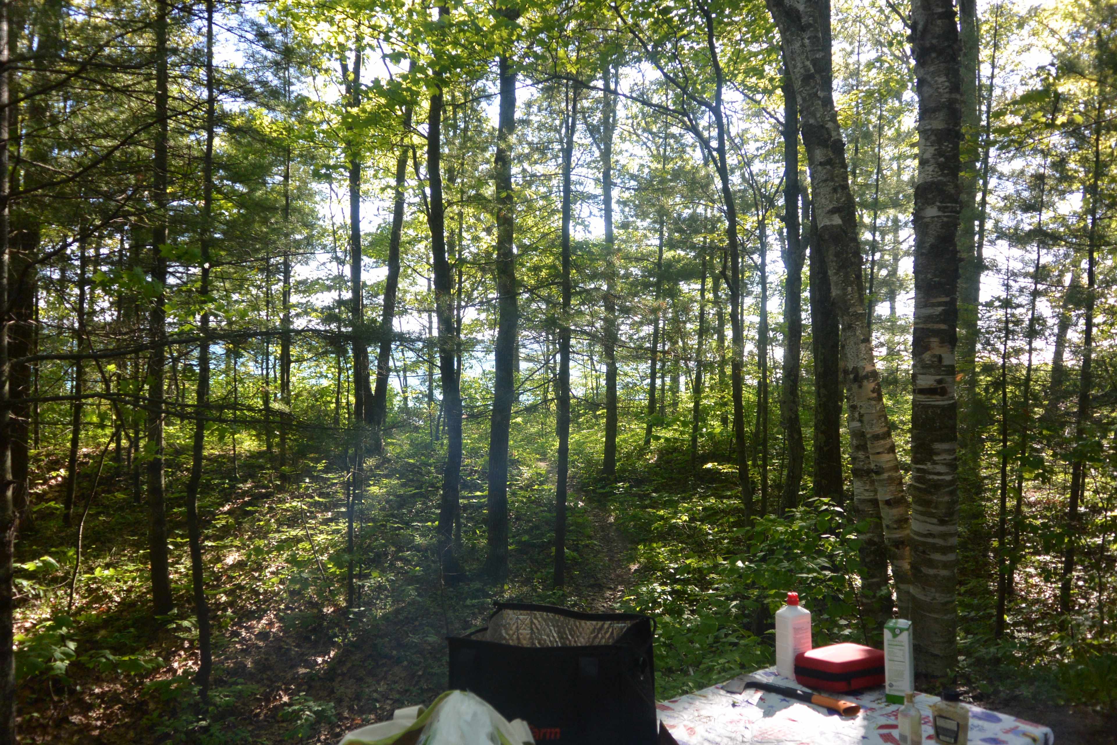 Lake Michigan Campground