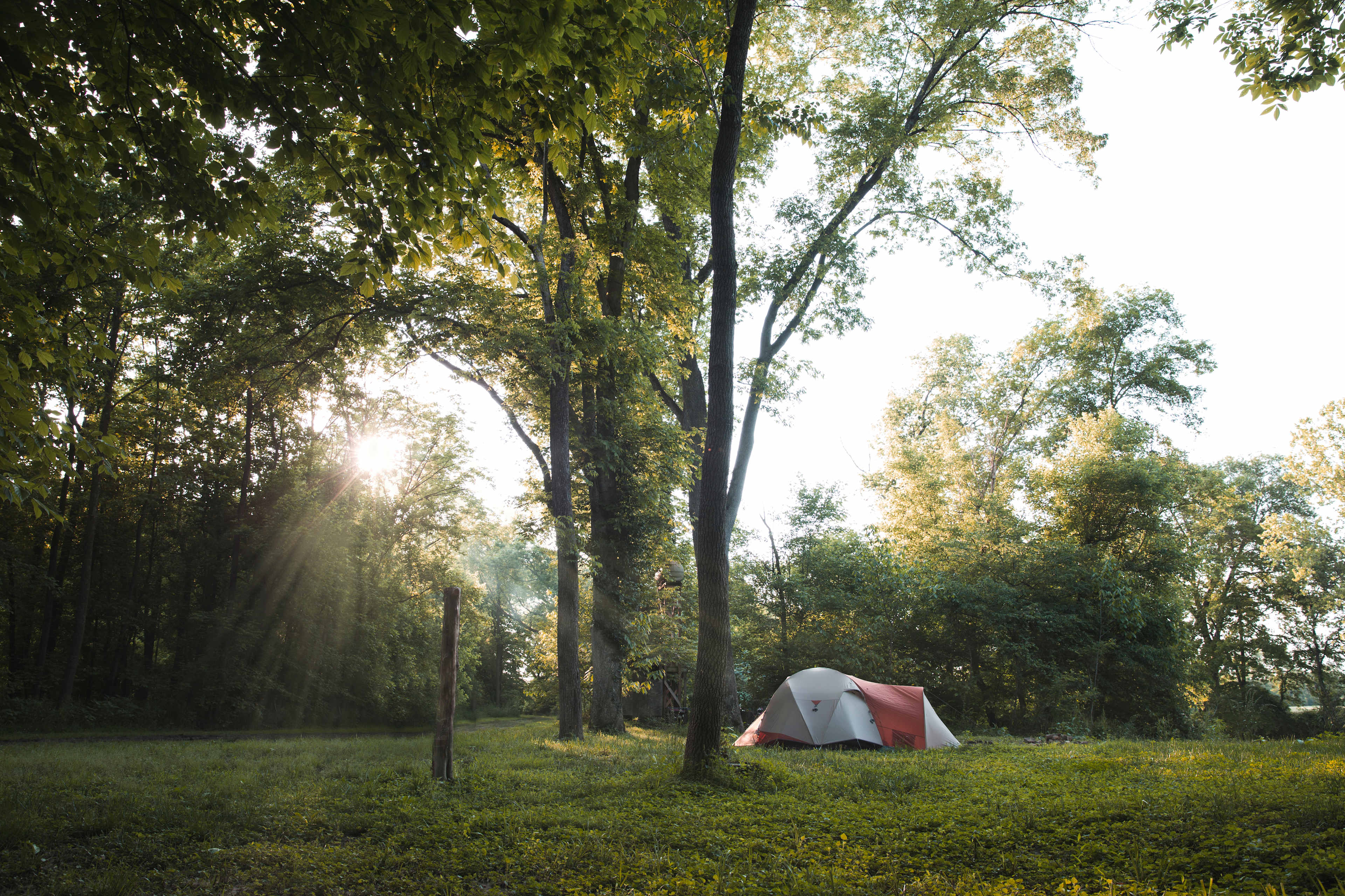 Neighboring sites. Depending on when you book, you can get a site back in the woods or closer to the fire pit/river.
