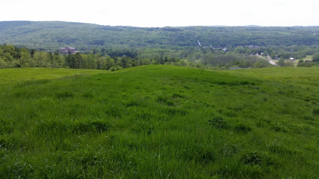Looking West with Montour Falls in the background in early Spring