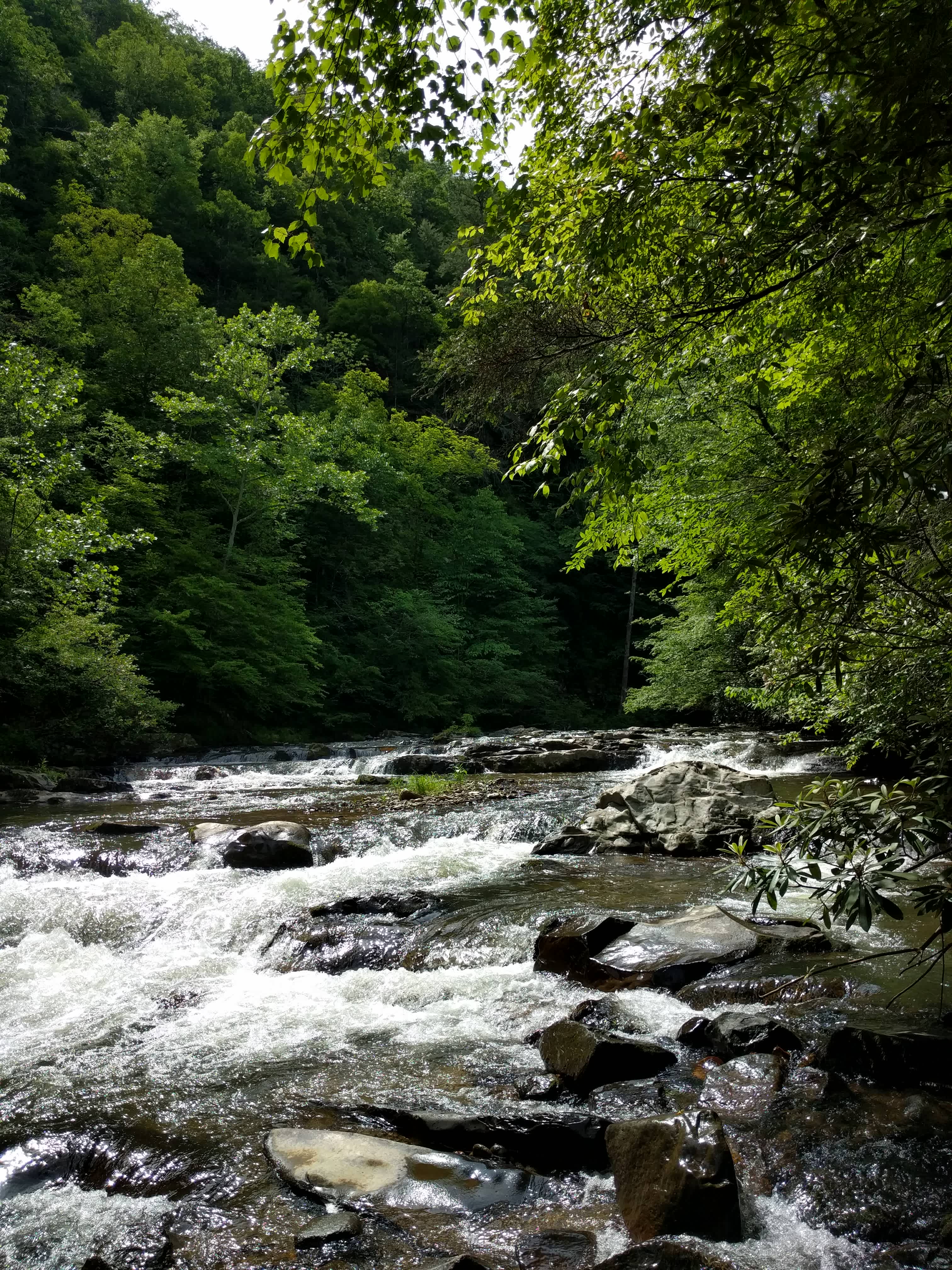 Sights on the hike