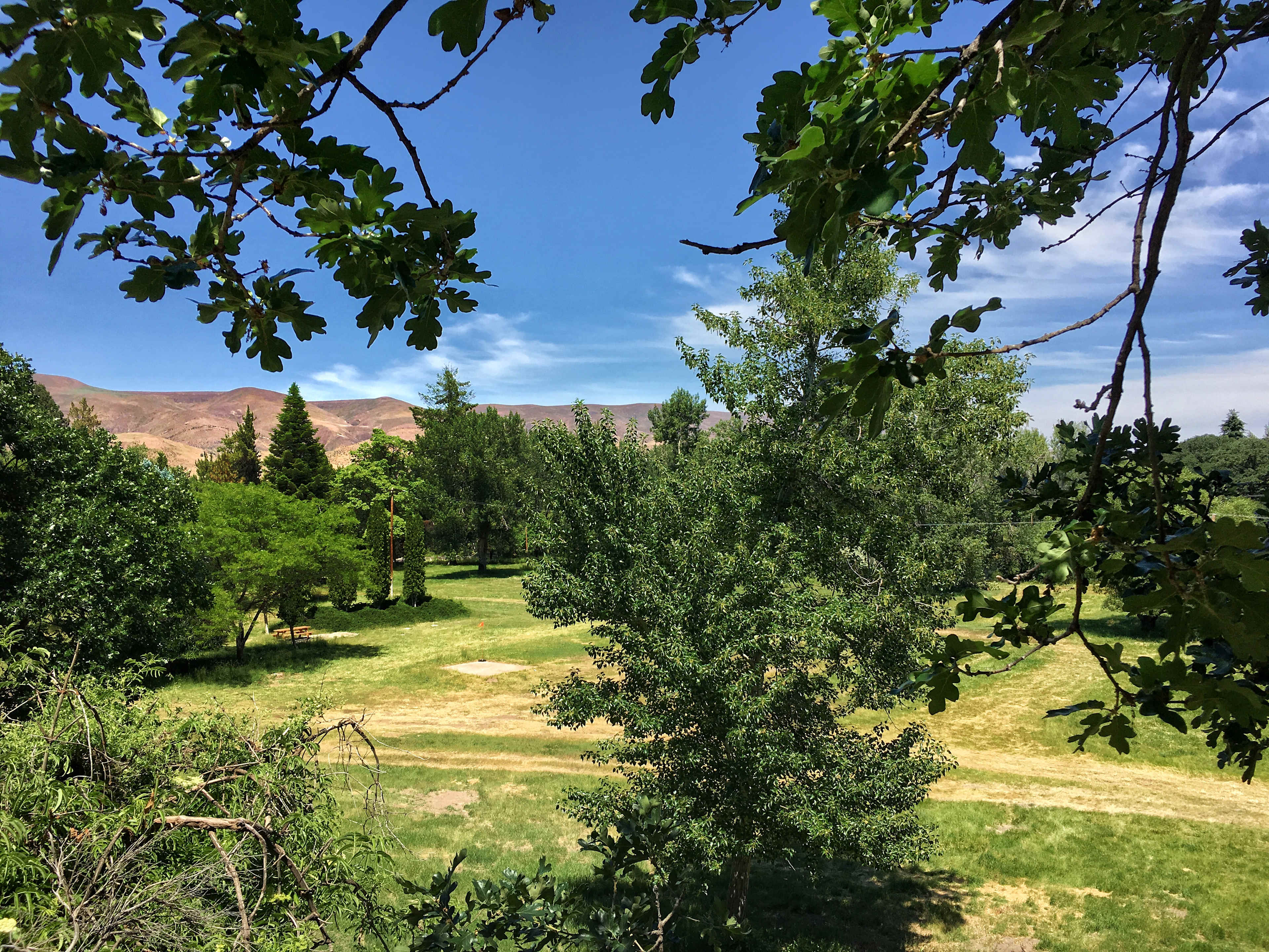 Picture of the site