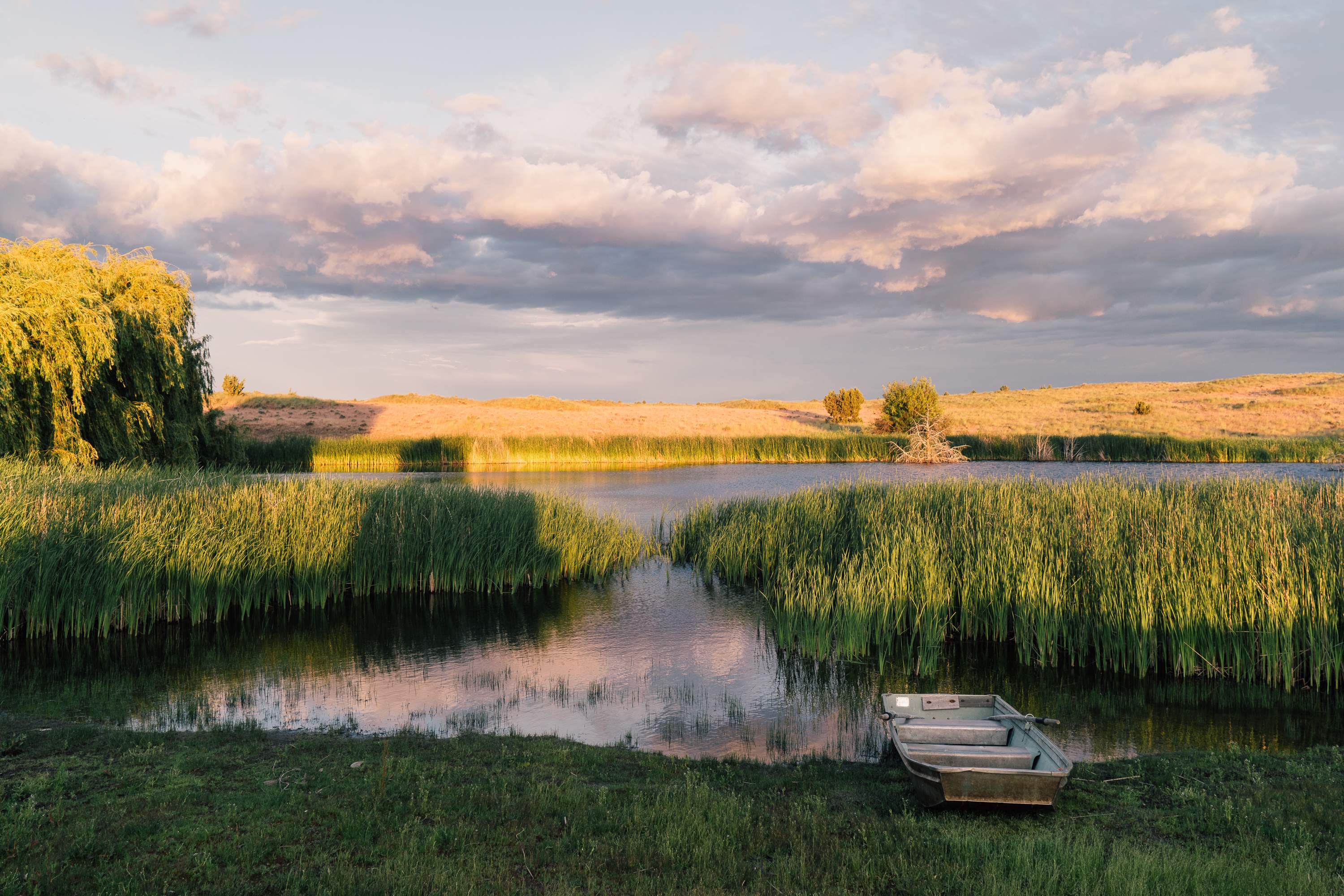 Sunset on the pond