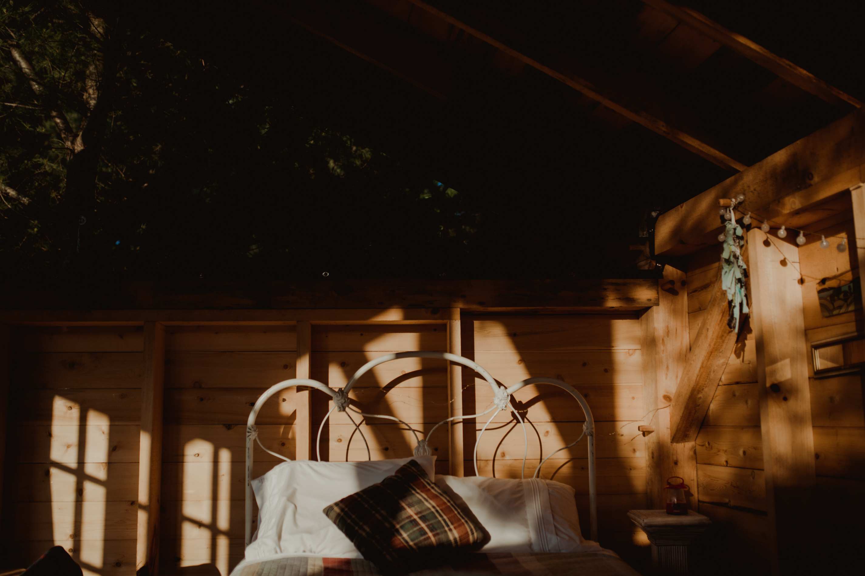 Beautiful morning shadows
