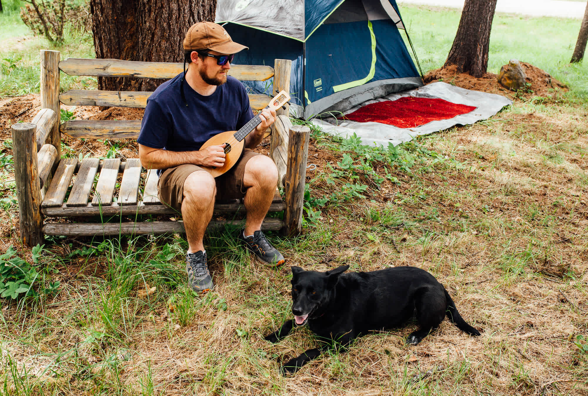 Campsite hangs