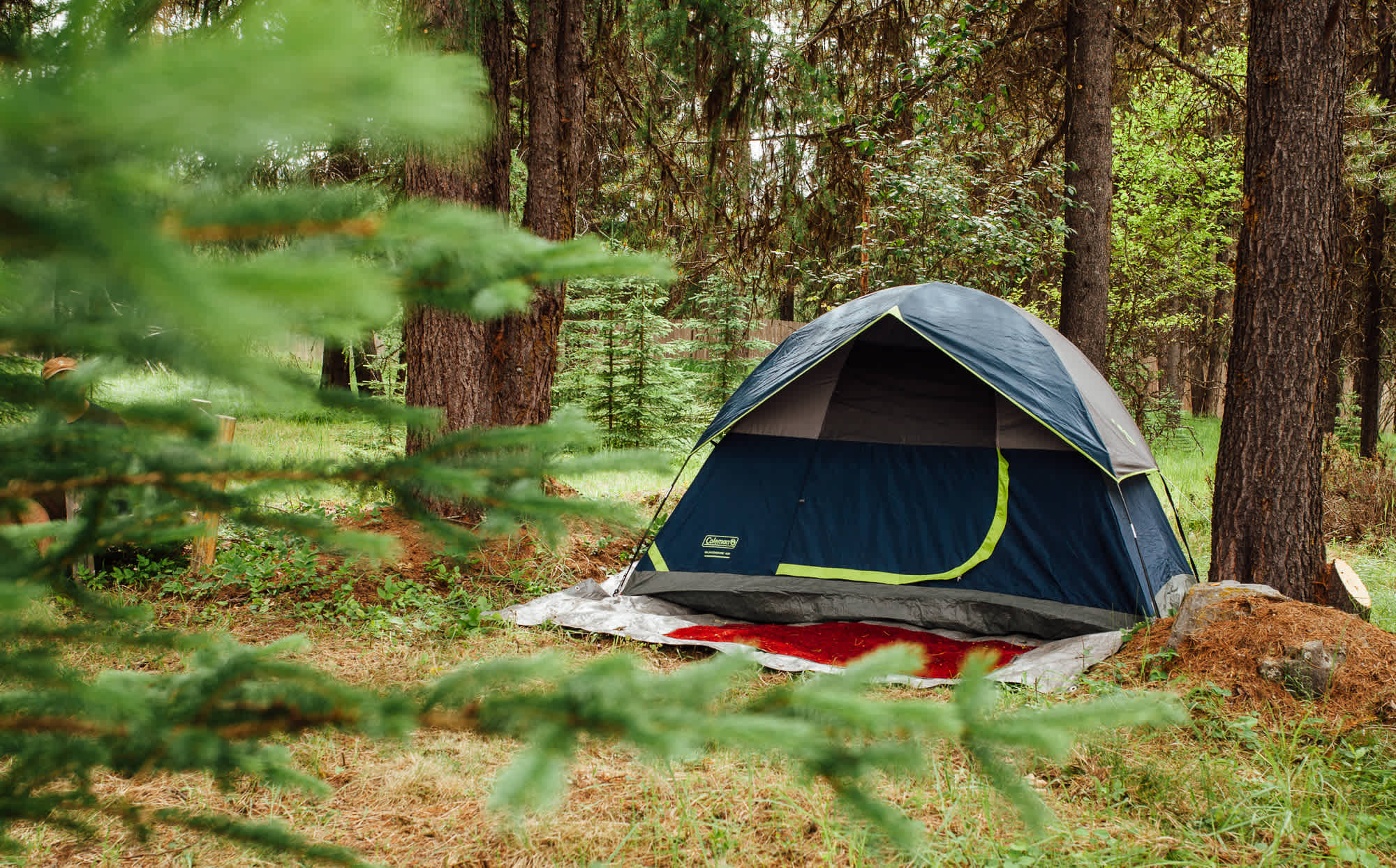 There are lots of shady areas to choose. Pick the one that speaks to you! 