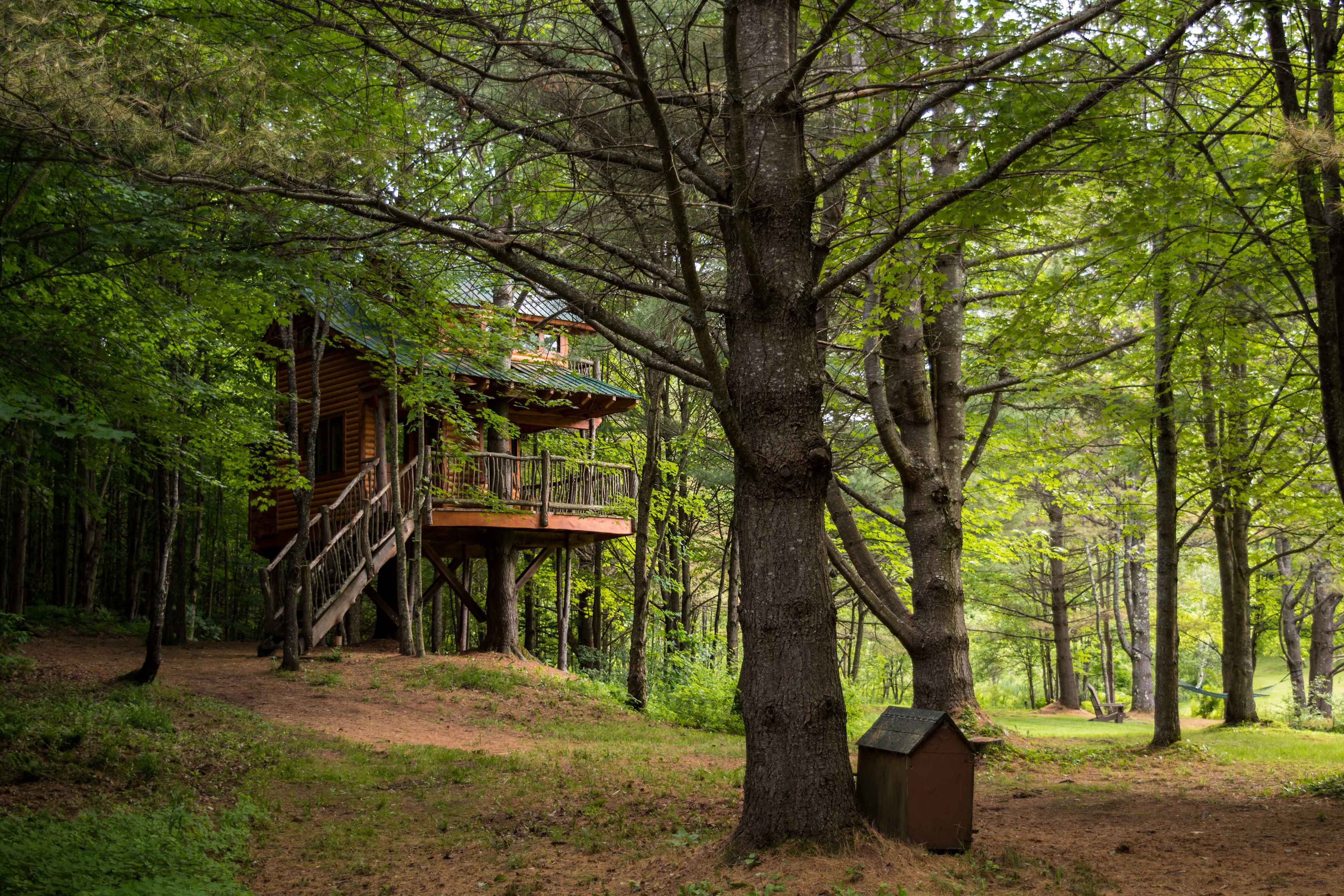 Firs views of Moose Meadow Treehouse