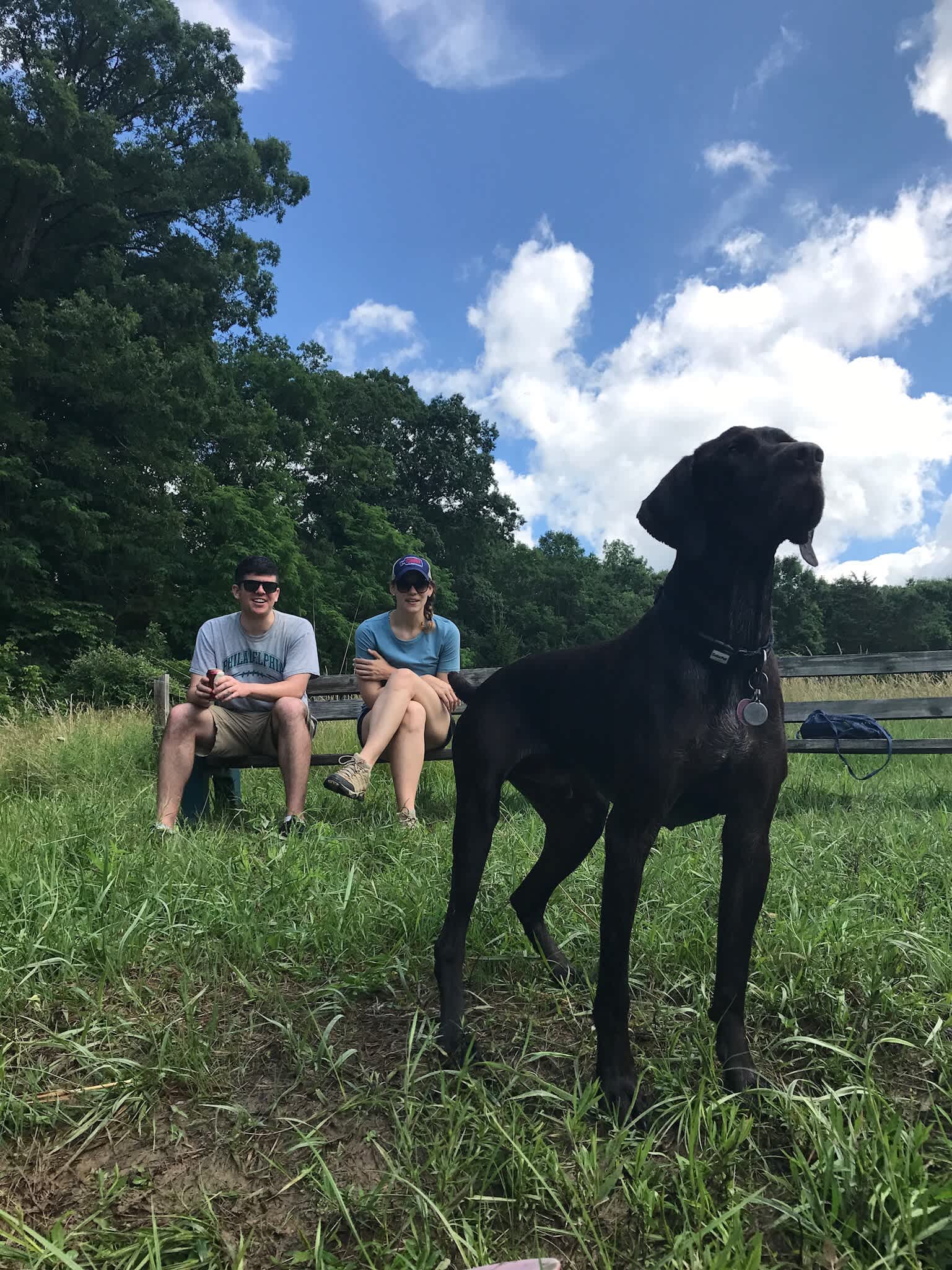 Dogs loved the pond!