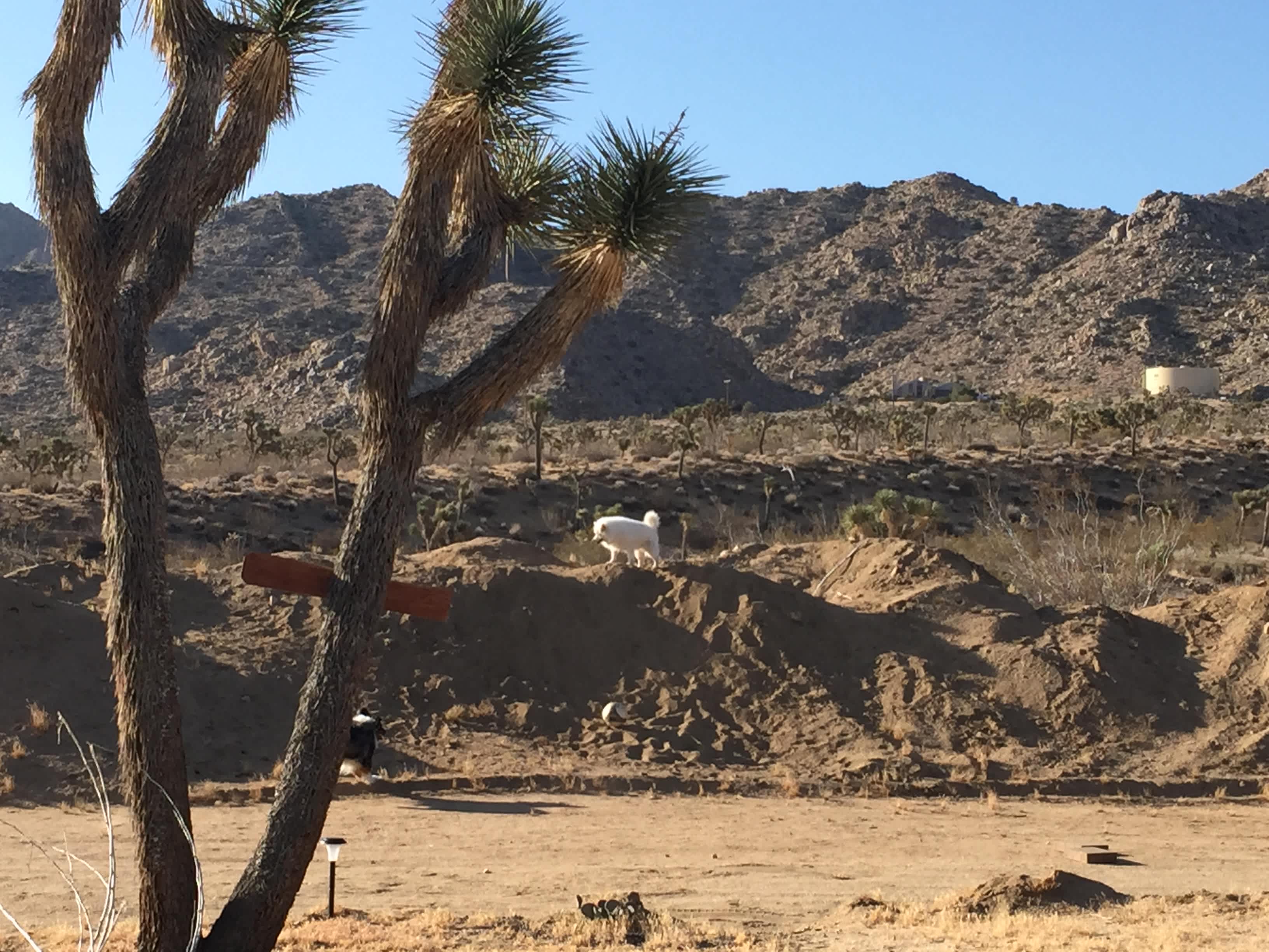 Picture of the site