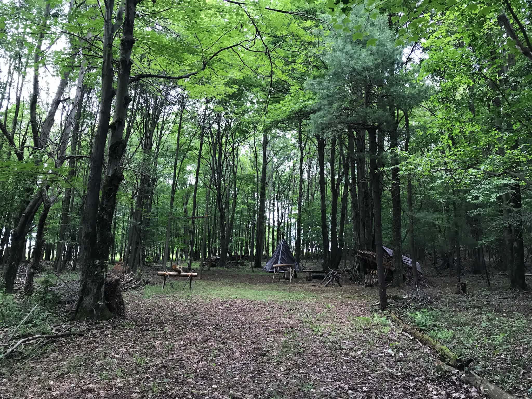 Sanctuary in the woods tent camp
