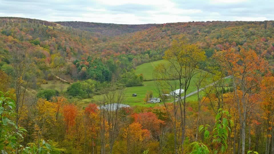 View of Triple Dream Farm from top of a nearby mountain trail during the fall season.  Your campsite is the small cleared pasture to the left, behind the house and line of trees.