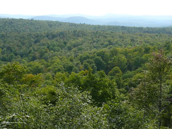 Hike to the Tiny Mt overlook. 