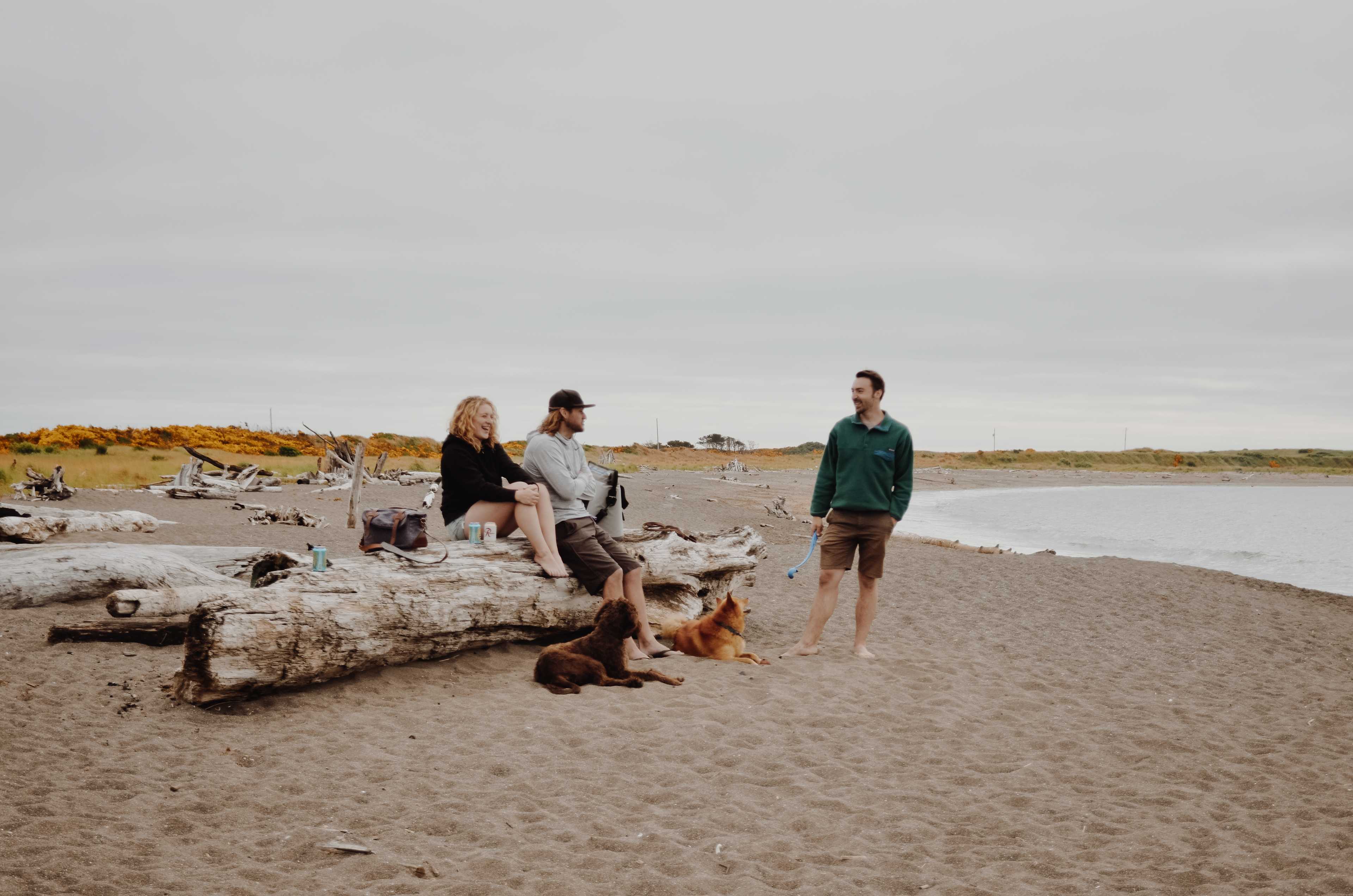Half Moon Bay has free parking and is really close to camp.
