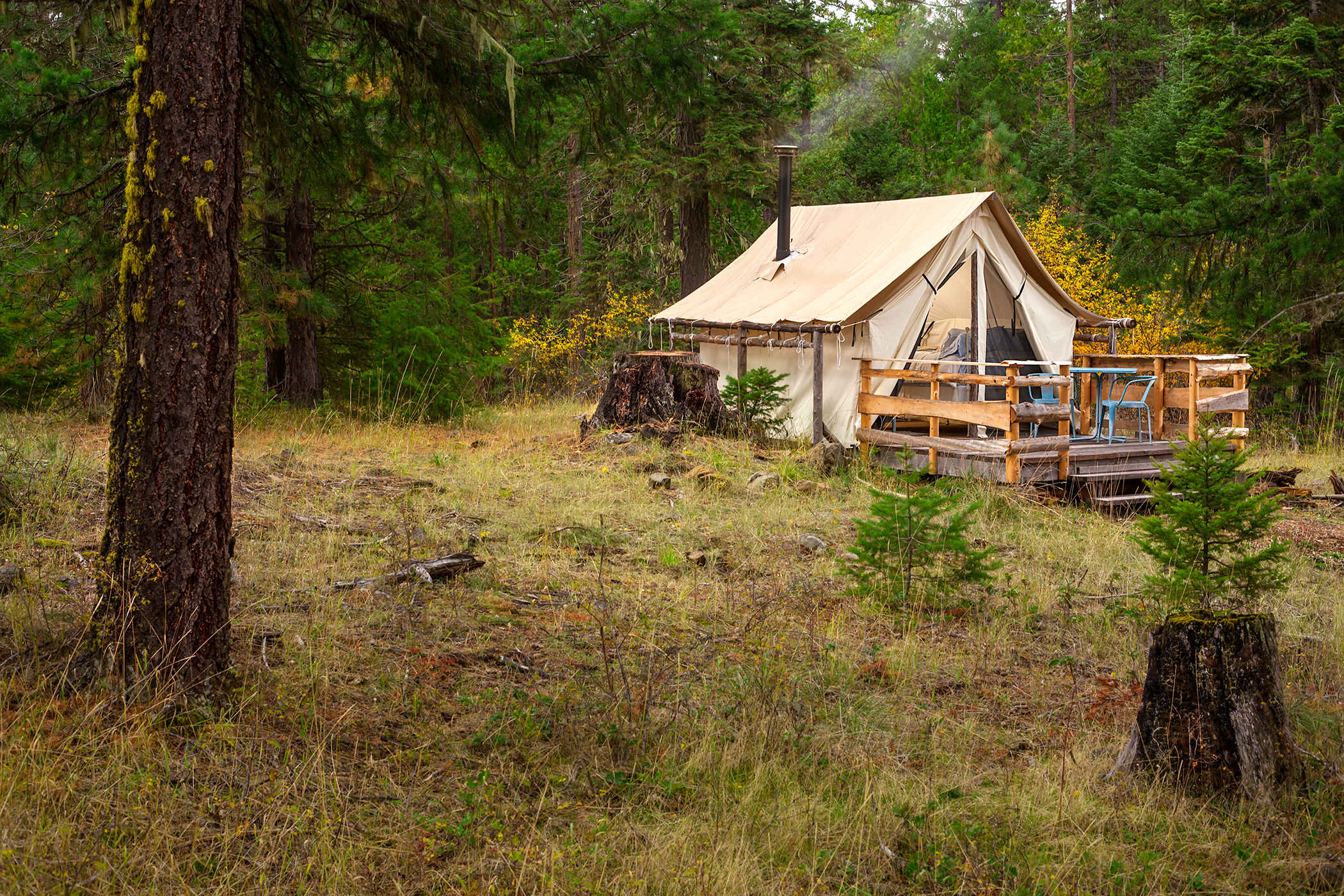 Willow-Witt Ranch