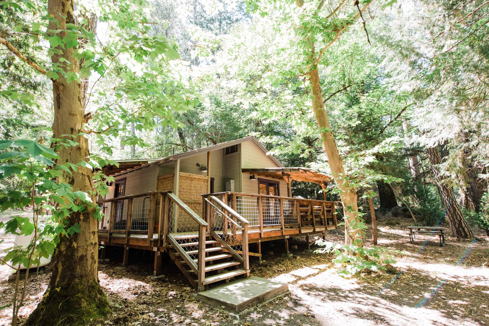 View from the back of the cabin. 