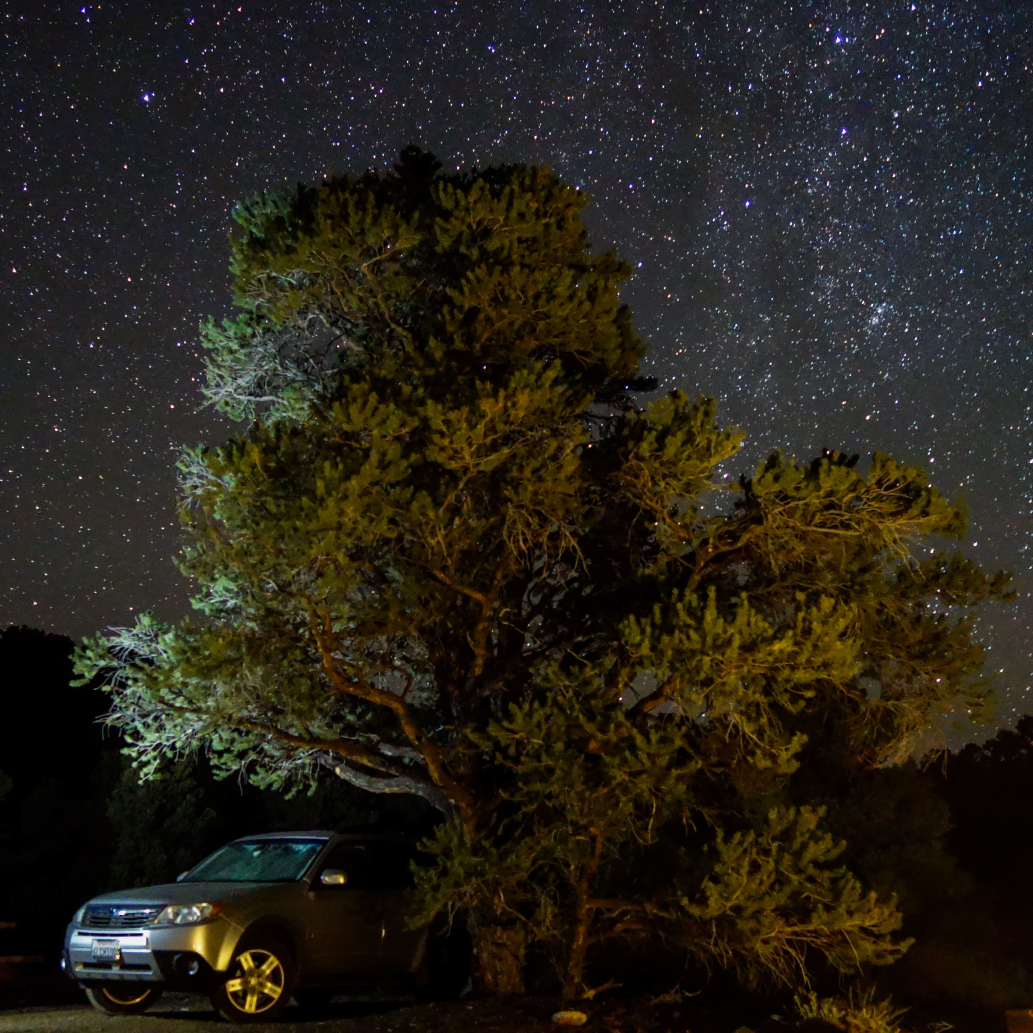 Slumberjack, the Sleeping Forester under a starry sky. #imaslumberjackandimokay #isleepallnightandidriveallday #slumberjackthesleepingforester