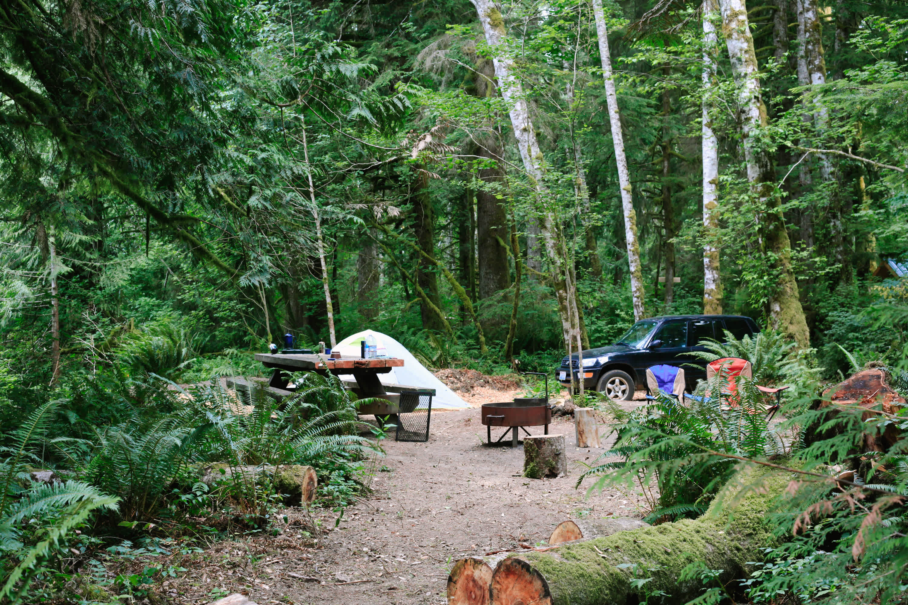 Picture of the site