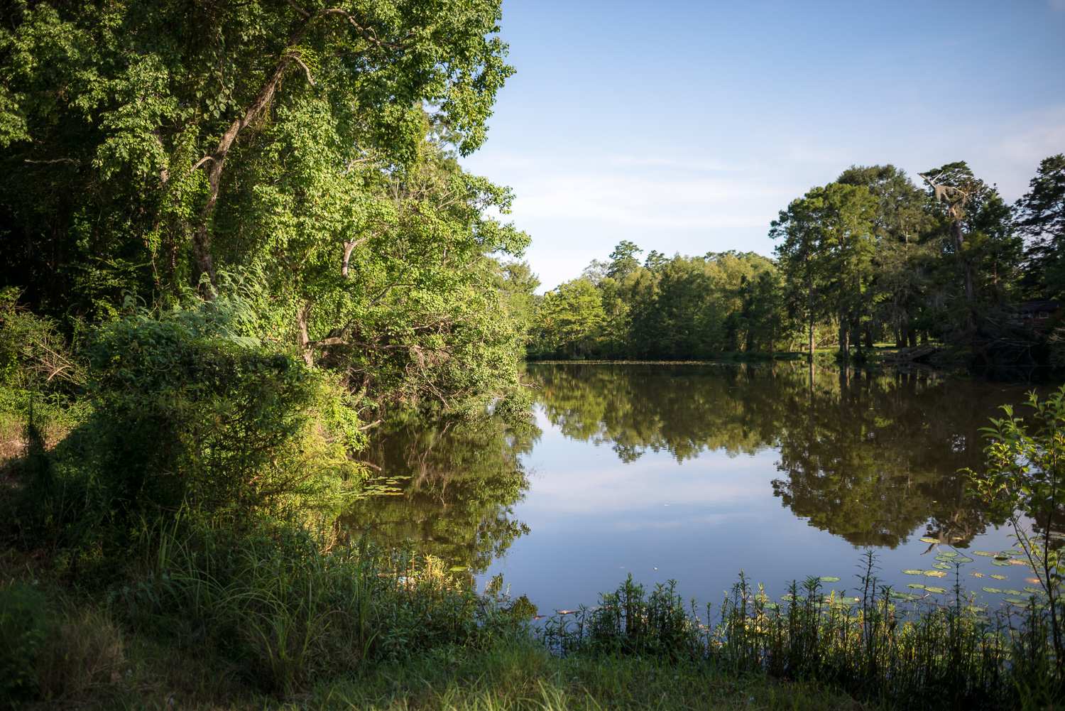 The bucolic pond.