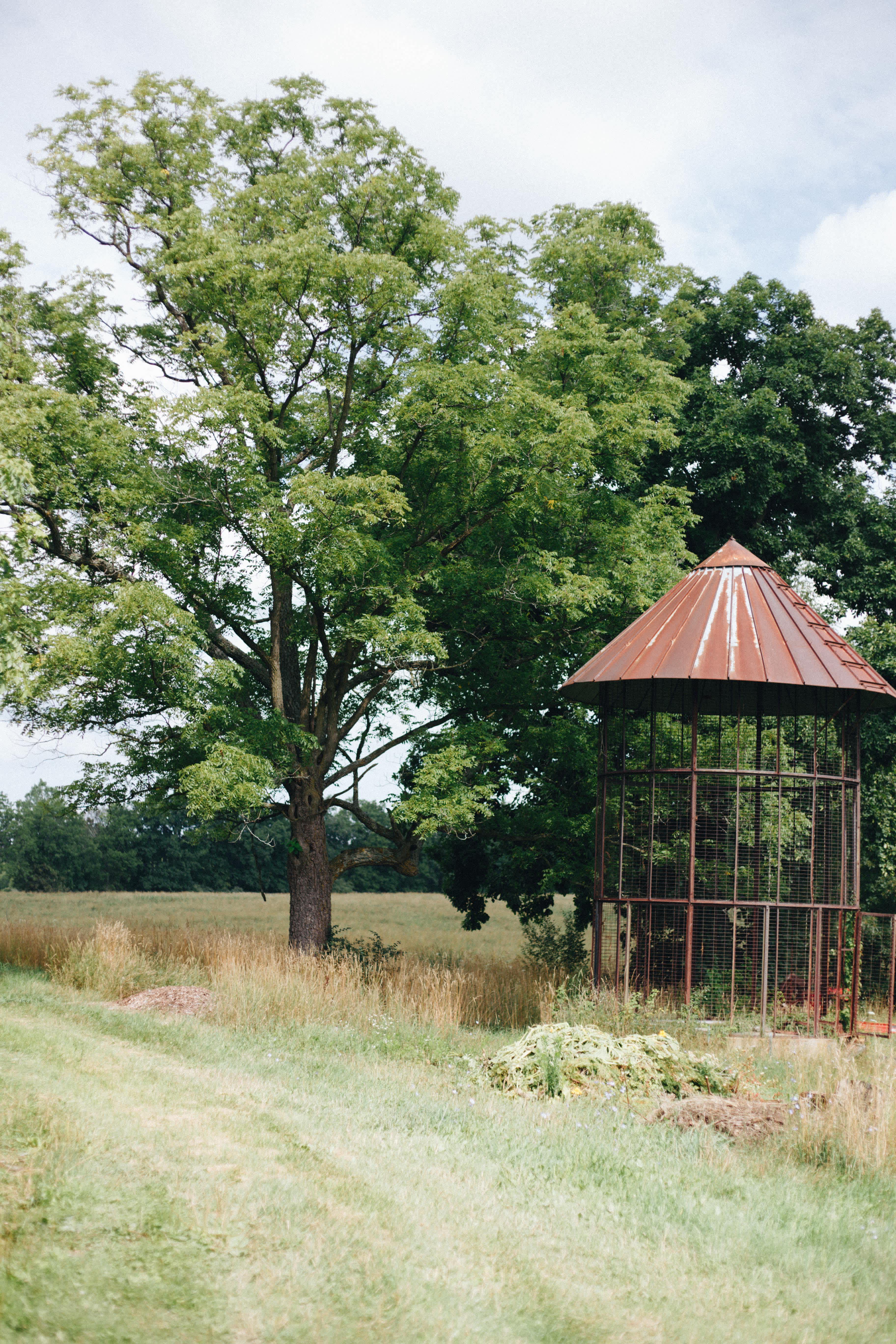 Nature and Nurture Farm