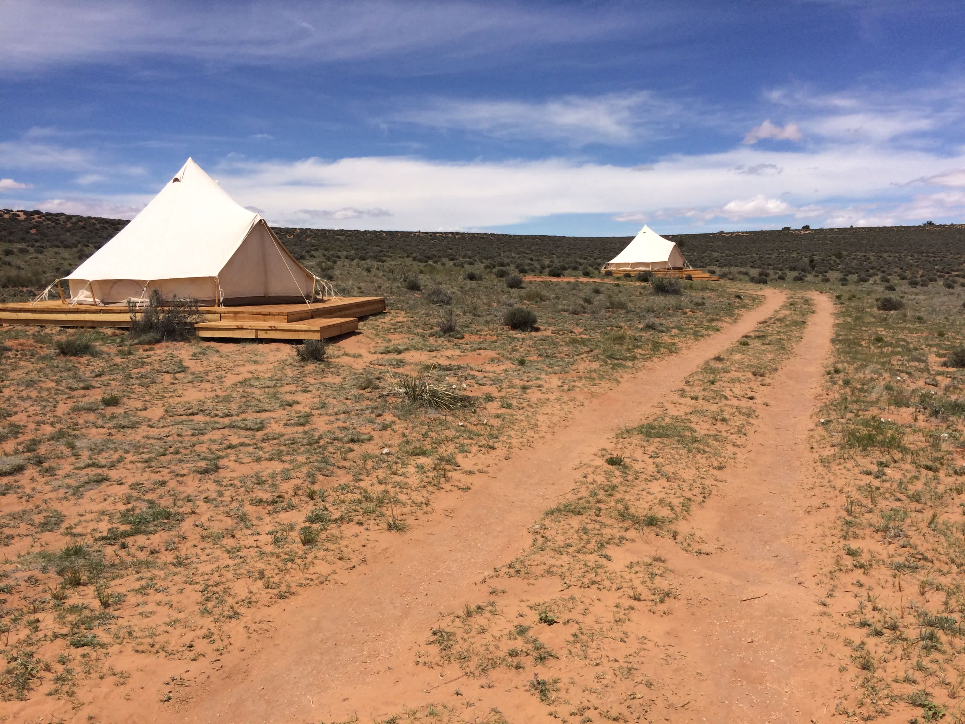 Picture of the site