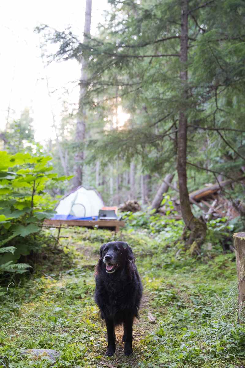 Marlee is 15 years old and followed me everywhere as I took photos. Needless to say, she was pooped at the end of the day.