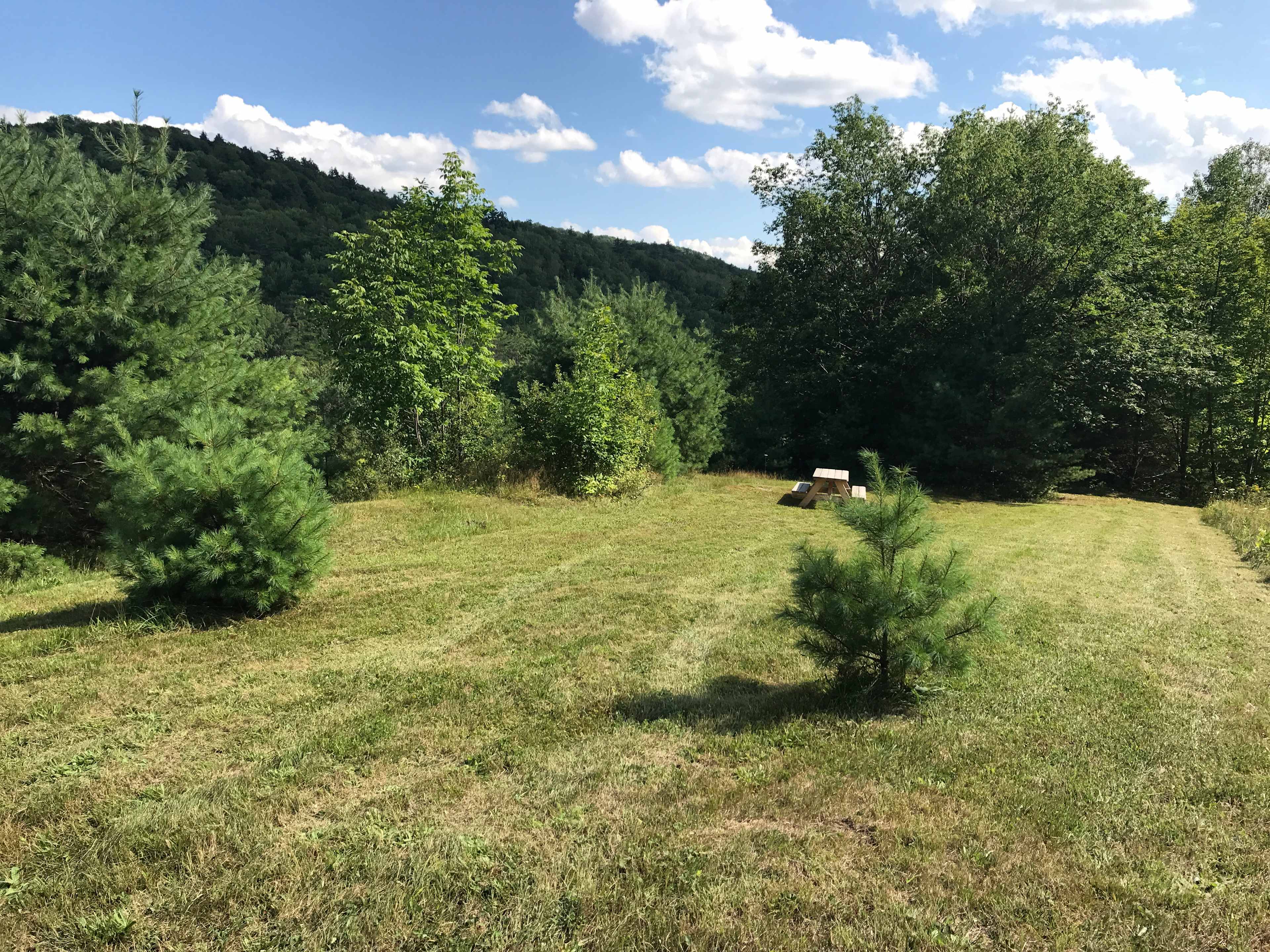 Beautiful campsite with Mountain View! The 2 little pines trees have been cut down to give more space to our campers