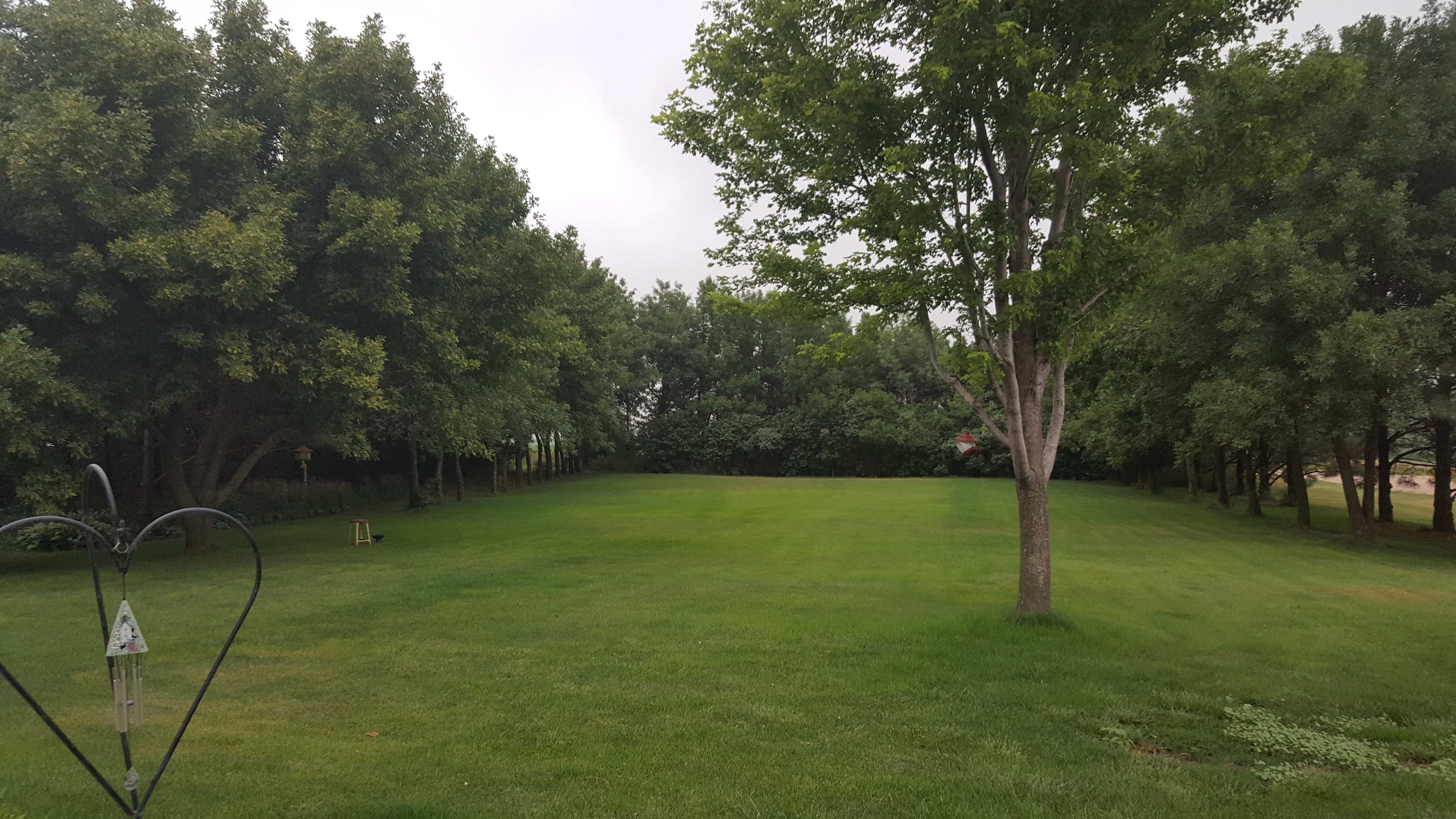 Front yard