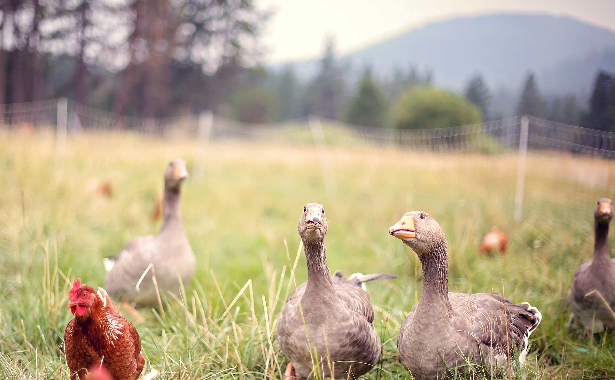 We made some friends, they were so friendly!