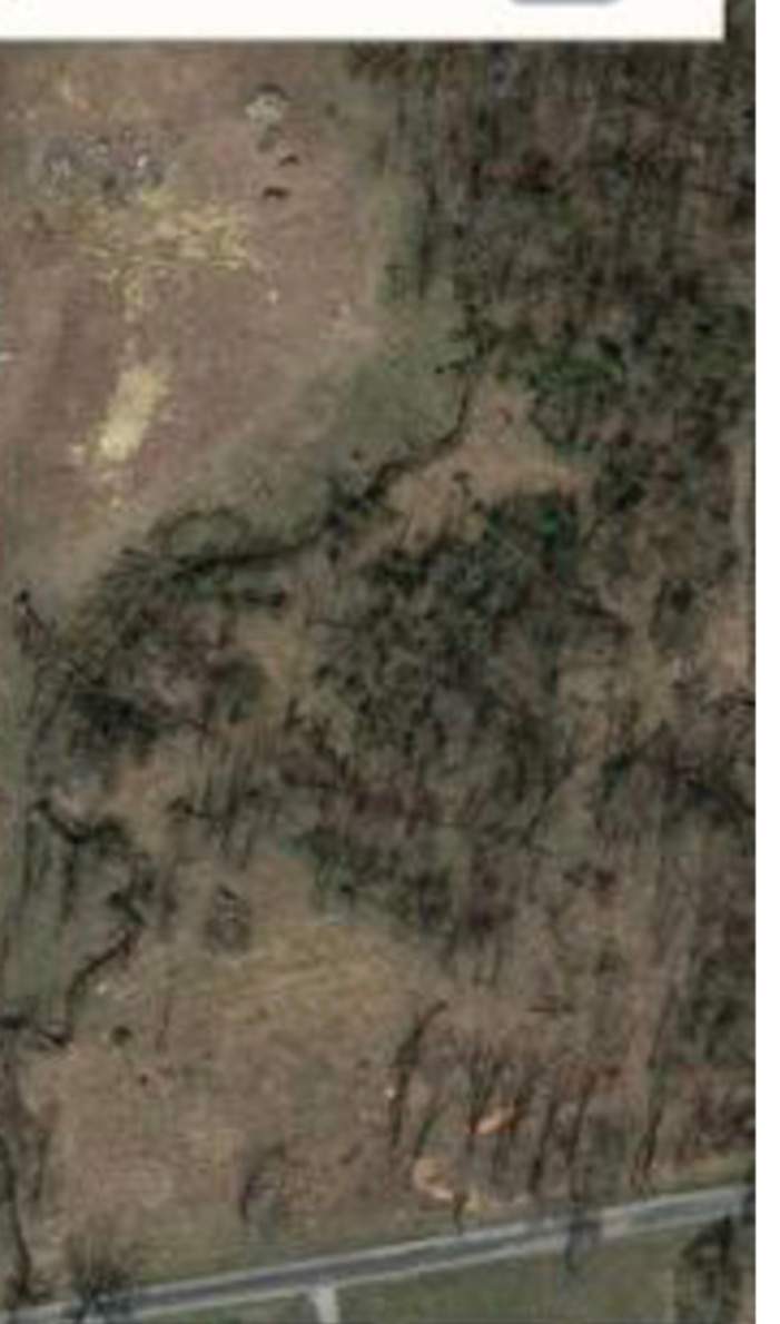 Campsite 